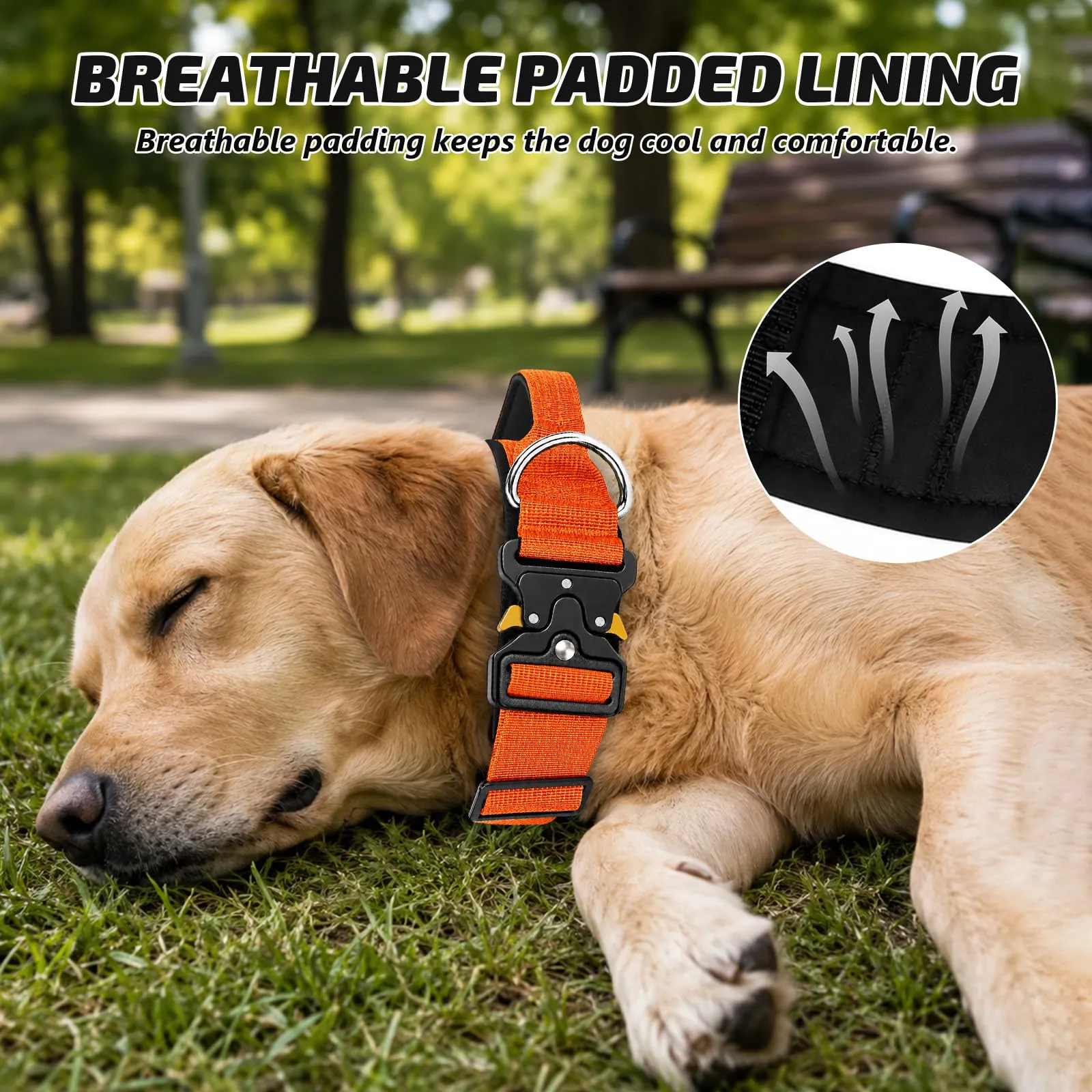 Collare Cane, Collare Tattico Regolabile per Cani Taglia Grande e Media, Larga 3,8 cm, Collari Militare in Nylon per Cani con Maniglia e Robusta Fibbia Metallica Sblocco Rapido (Arancione, M) - immagine 4