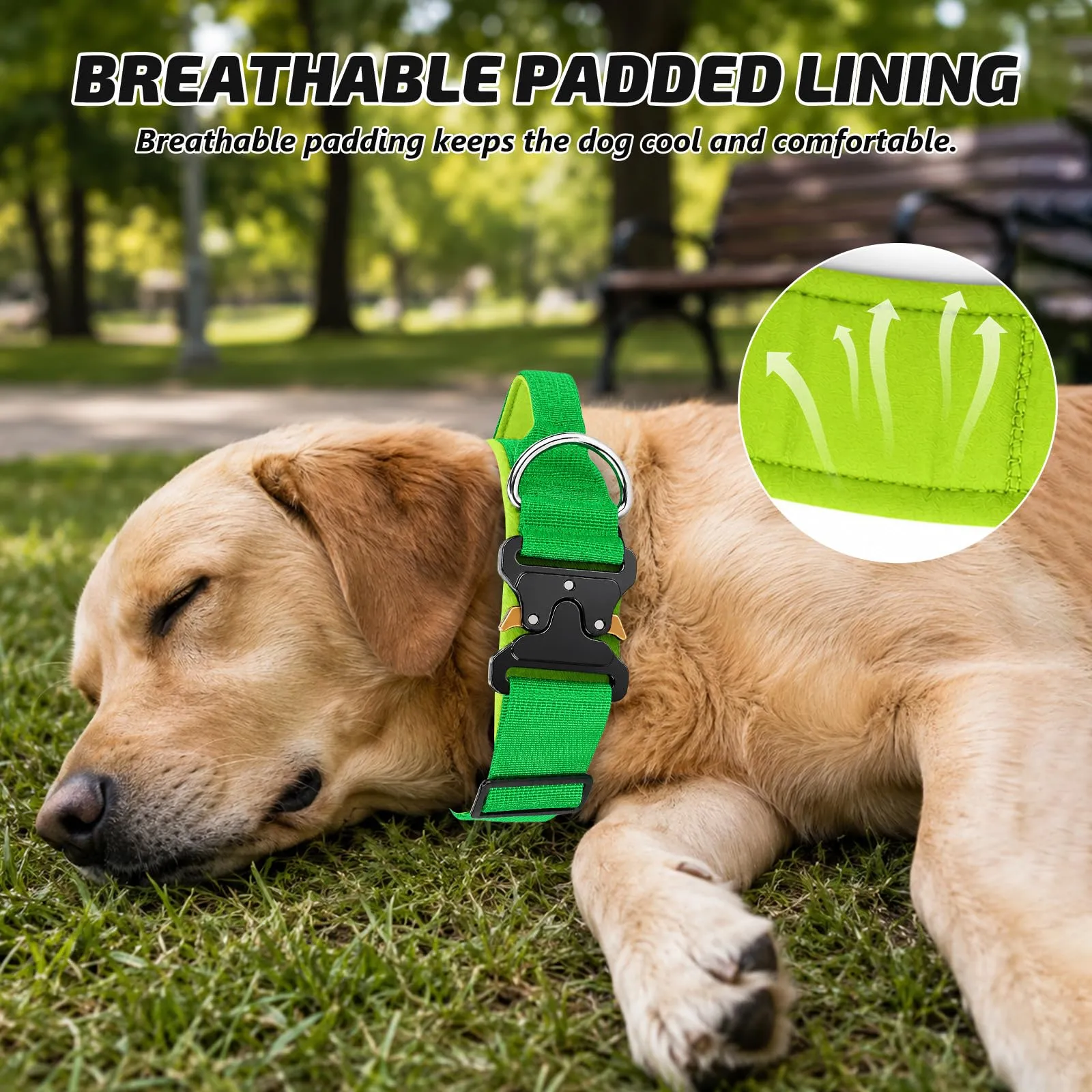 Collare Cane, Collare Tattico Regolabile per Cani Taglia Grande e Media, Larga 3,8 cm, Collari Militare in Nylon per Cani con Maniglia e Robusta Fibbia Metallica Sblocco Rapido (Verde, M) - immagine 4