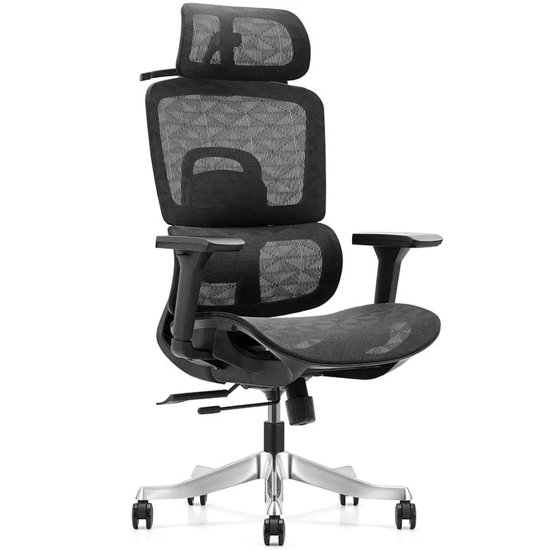 Sedia da scrivania ergonomica in rete Owlotech Regal nera - immagine 1