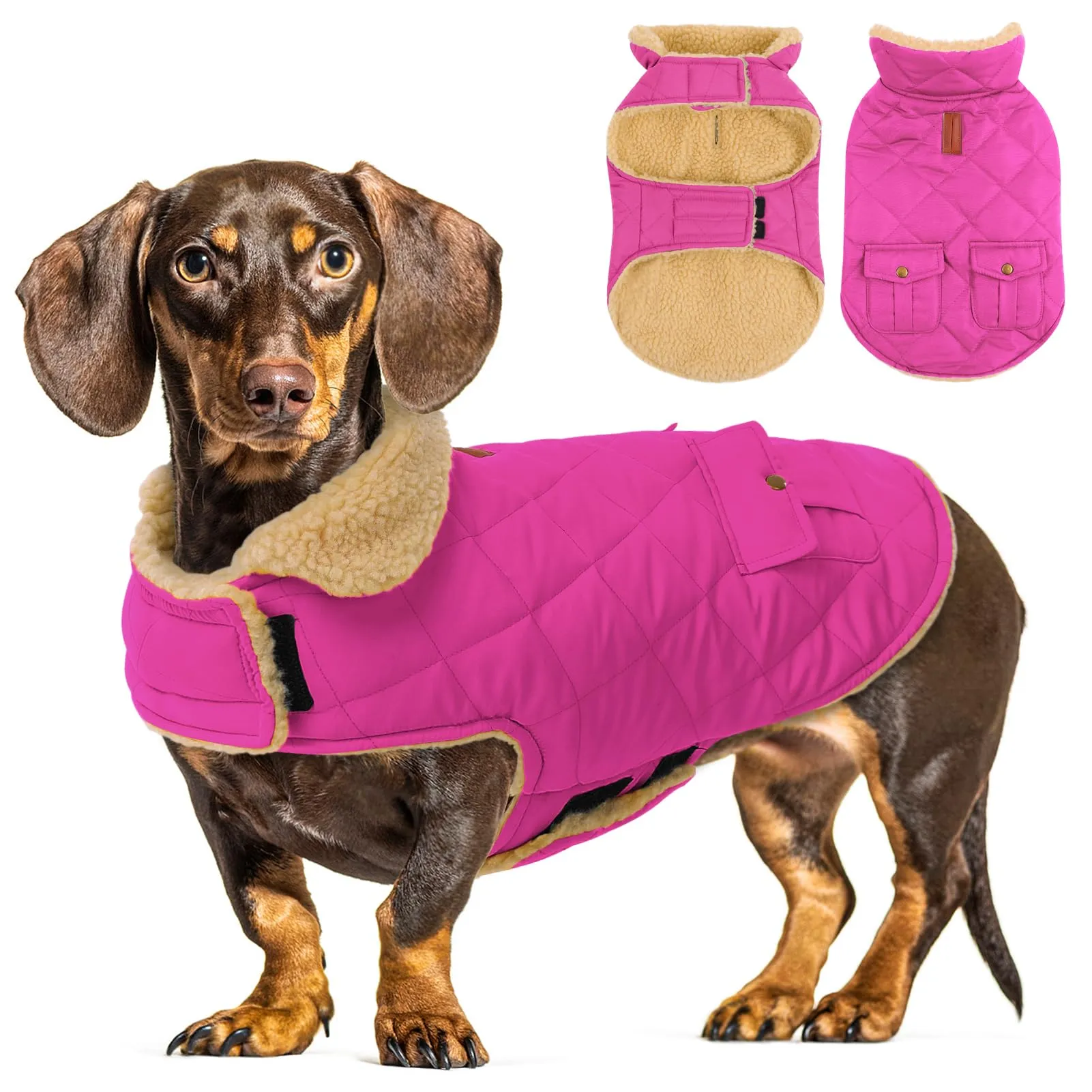 CITÉTOILE Gilet Termico Invernale per Cani in Lana Spessa Rosa XL - immagine 1
