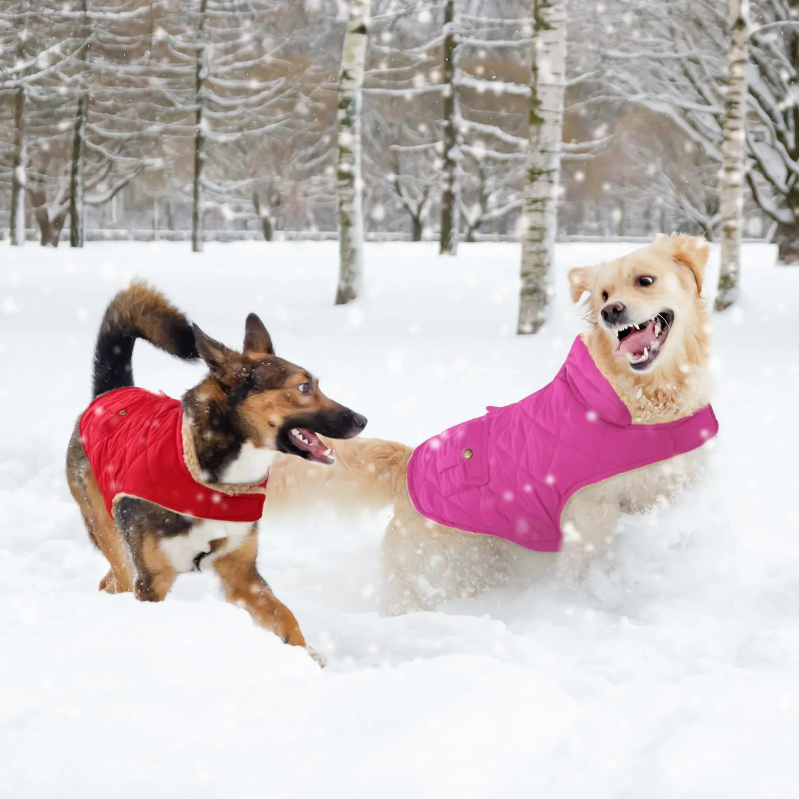 CITÉTOILE Gilet Termico Invernale per Cani in Lana Spessa Rosa XL - immagine 7