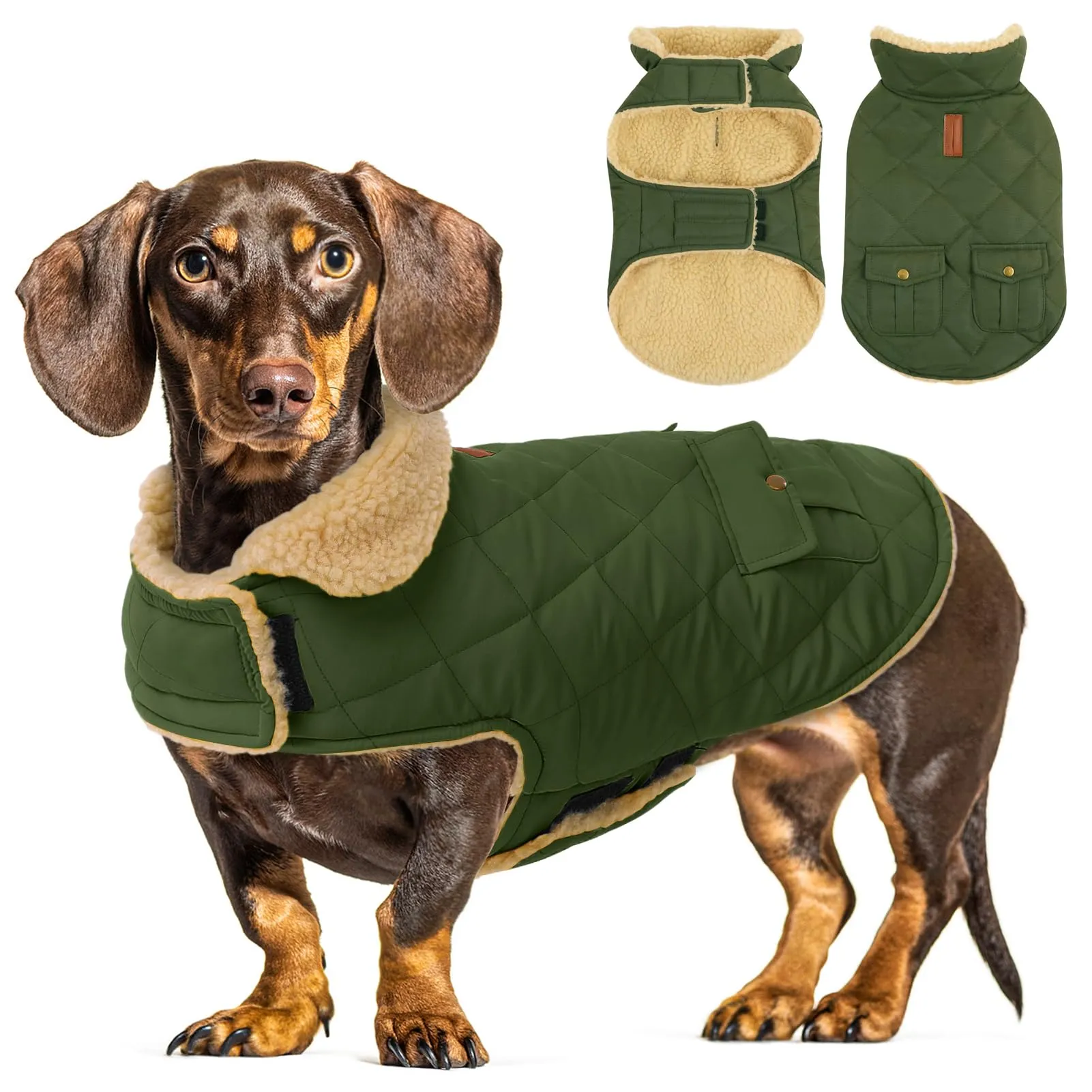 CITÉTOILE Gilet Termico Invernale per Cani in Lana Spessa Verde XL - immagine 1
