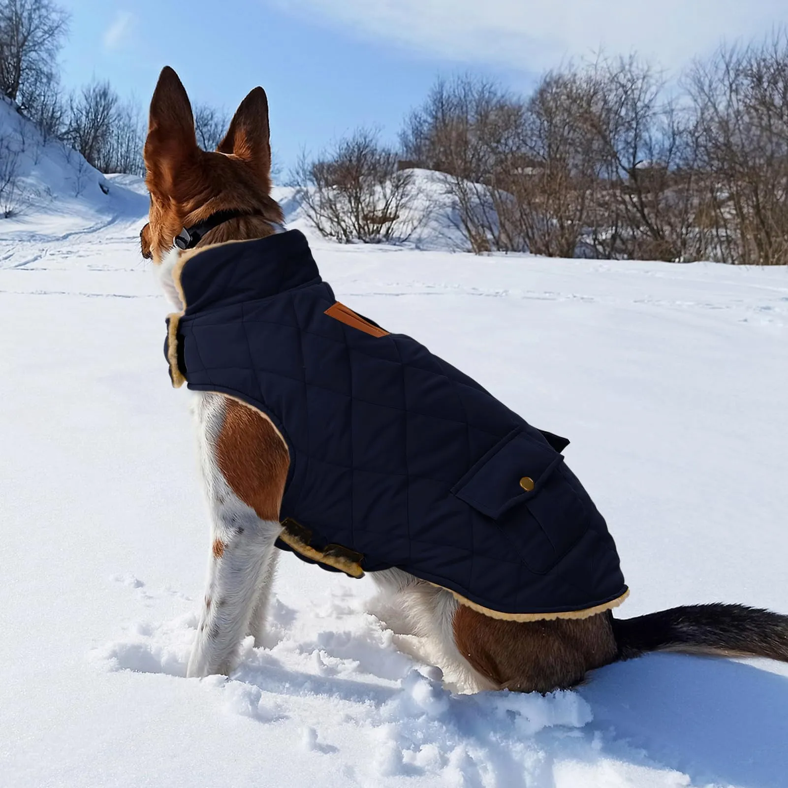 CITÉTOILE Gilet Termico Invernale per Cani in Lana Spessa Blu XL - immagine 5