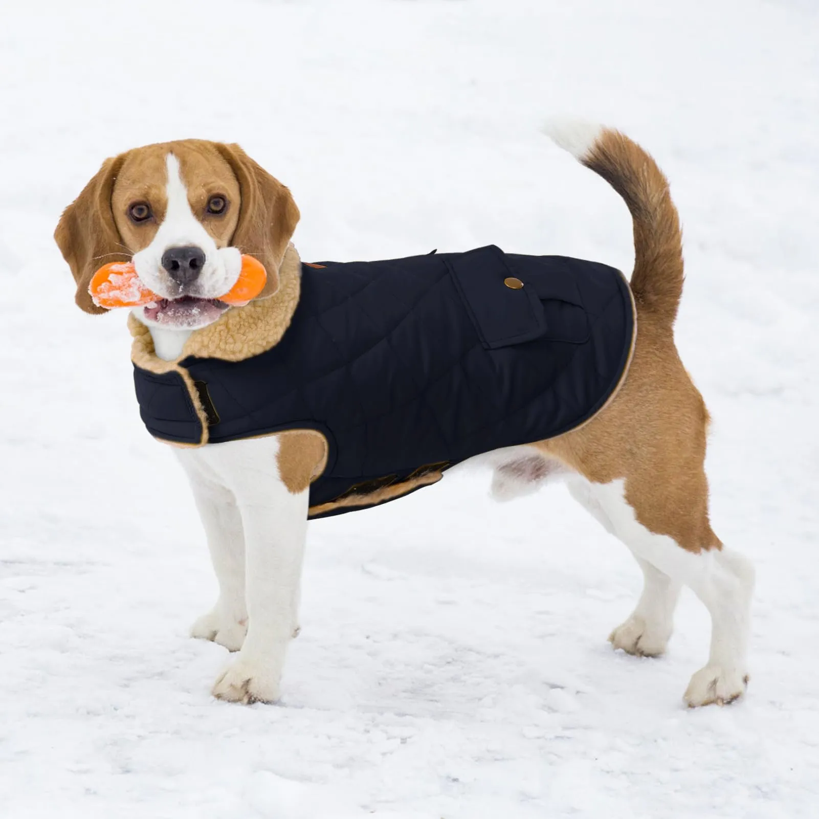 CITÉTOILE Gilet Termico Invernale per Cani in Lana Spessa Blu XL - immagine 6