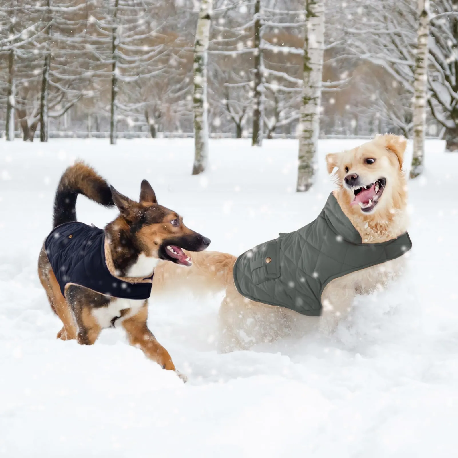 CITÉTOILE Gilet Termico Invernale per Cani in Lana Spessa Blu XL - immagine 7