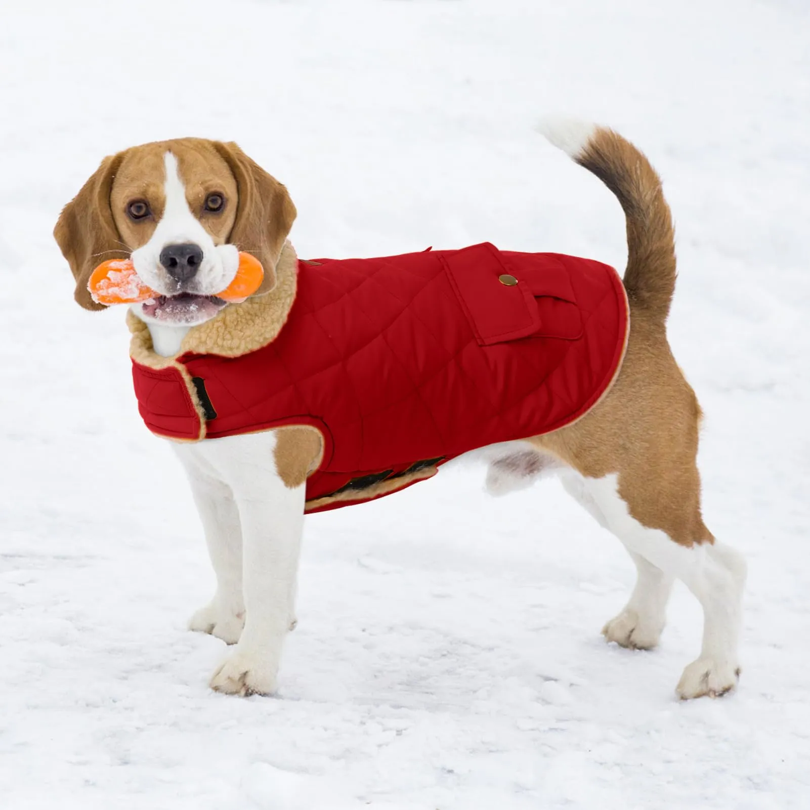 CITÉTOILE Gilet Termico Invernale per Cani in Lana Spessa Rosso XL - immagine 6