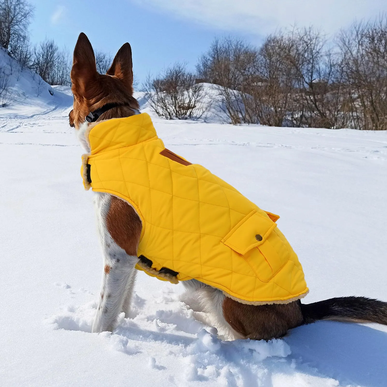 CITÉTOILE Gilet Termico Invernale per Cani in Lana Spessa Giallo XL - immagine 5