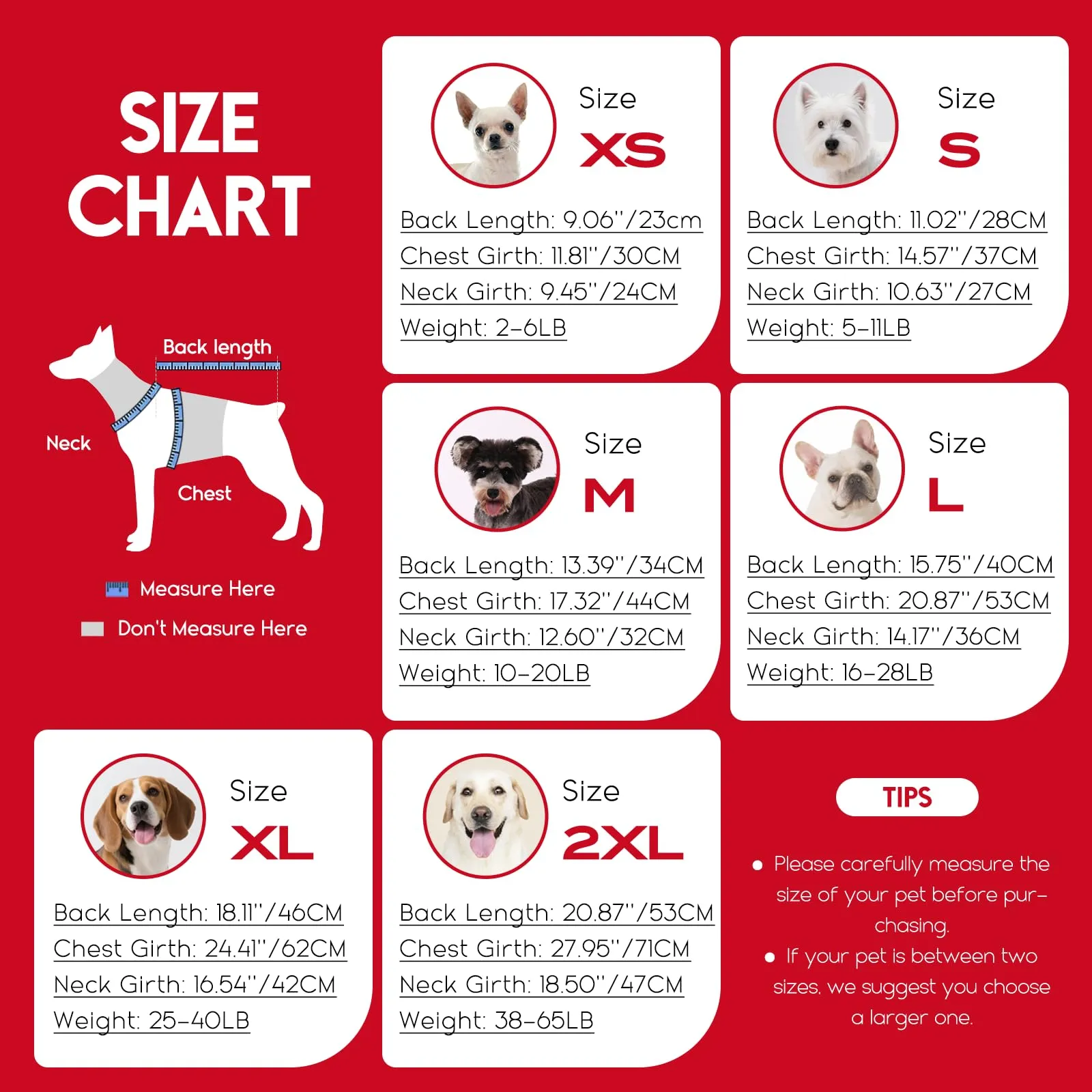 ASENKU Maglione Cane XS per Cane Taglia Piccola per Chihuahua,Yorkshire - immagine 5