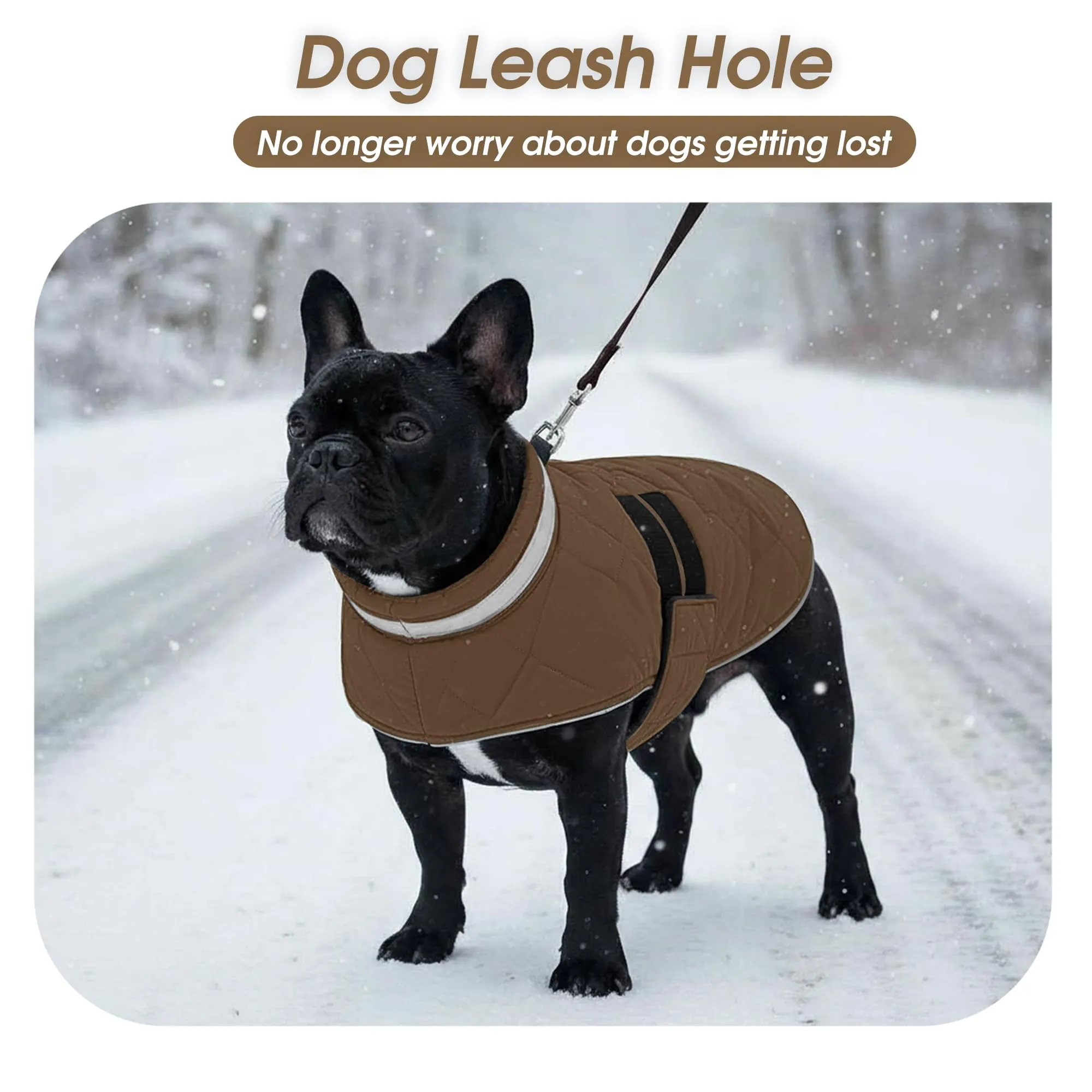 ASENKU Cappotto Invernale Cane 2XL per Cani Molto Grandi, Giacca Impermeabile Antivento Riflettente, Fodera in Pile Calda, Regolabile – Per Labrador, Golden Retriever, Pastore Tedesco - immagine 6
