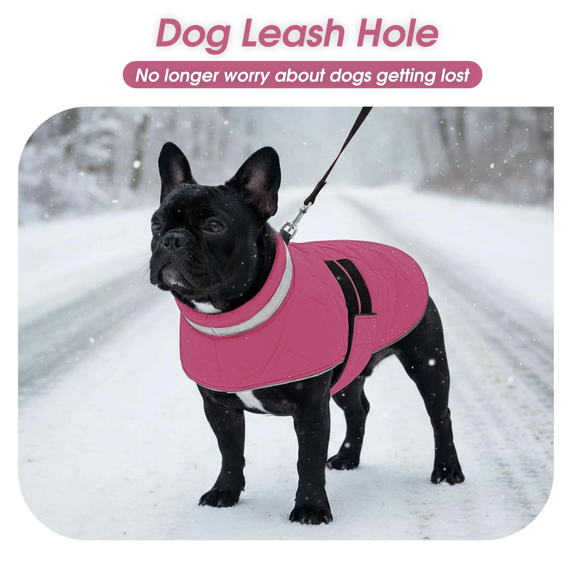 ASENKU Cappotto Invernale Impermeabile XS per Cani Piccoli, Giacca Calda con Strisce Riflettenti, Regolabile, Apertura per Collare,Ideale per Chihuahua, Volpino, Yorkshire per Passeggiate Pioggia Neve - immagine 5