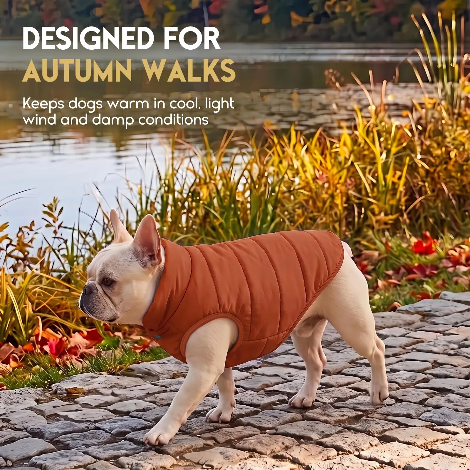 ASENKU Cappotto impermeabile Cane Inverno M, Fodera Polare Spessa, Bottoni Ventrali, Apertura Guinzaglio, Cappottino Cane Taglia Media per Bulldog Francese Corgi, Escursioni Boschive con Maltempo - immagine 5