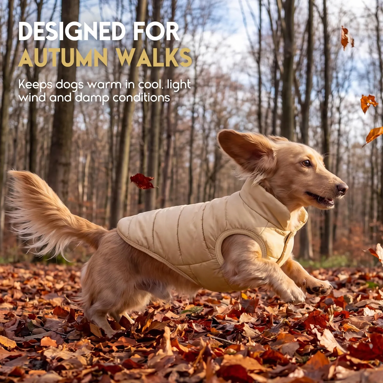 ASENKU Cappotto per Cane Grande Inverno impermeabile XL, Fodera Calda, Apertura Guinzaglio, Giacca Cane Invernale per Border Collie Husky Samoiedo, Uscite Esterne Sulla Neve Tutto l'anno - immagine 6