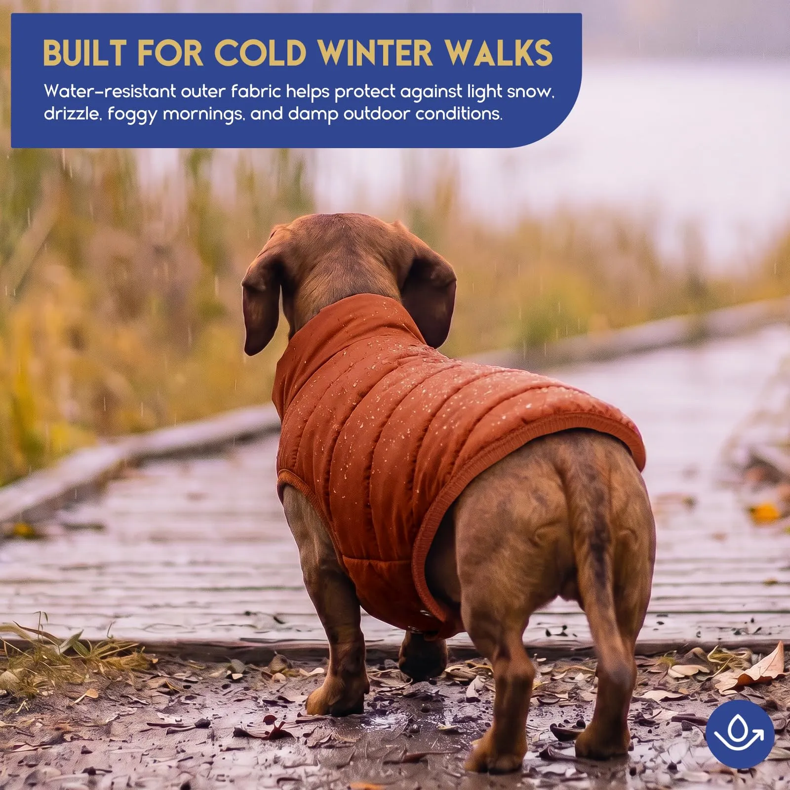 ASENKU Cappotto per Cane Grande Inverno impermeabile 3XL, Fodera Calda, Apertura Guinzaglio, Giacca Cane Invernale, Labrador Golden Retriever Pastore Tedesco, Uscite Esterne Sulla Neve Tutto l'anno - immagine 3