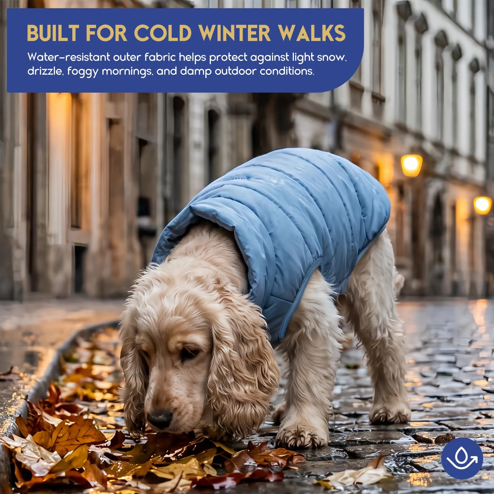 ASENKU Cappotto Inverno per Cane Taglia Piccola S, Impermeabile & Pile Artica, Bottoni Ventre e Apertura Guinzaglio, Giacca Cane Invernale per Yorkshire Bichon, Uscite Ricreative Invernali Fuori Casa - immagine 3