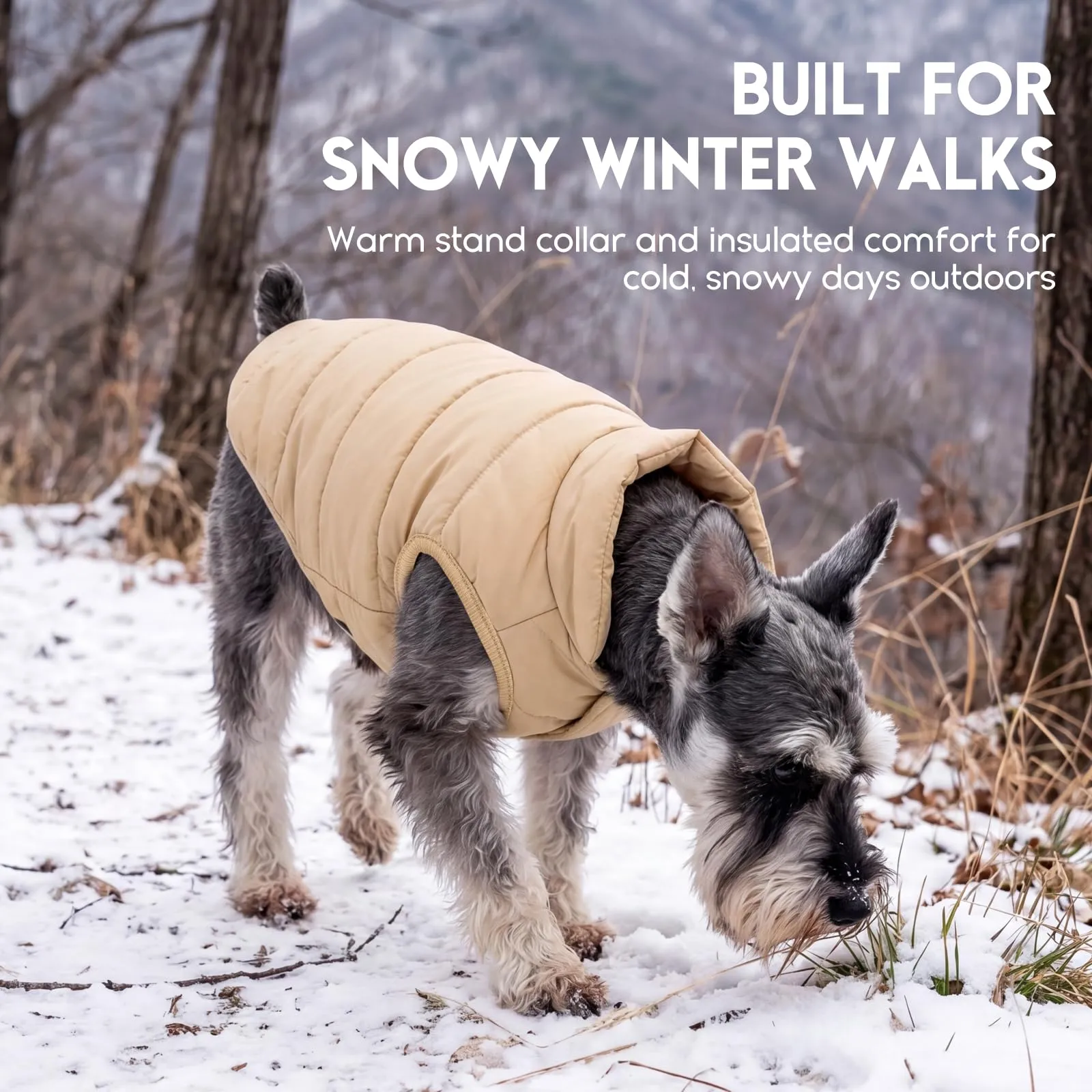 ASENKU Cappotto impermeabile Cane Inverno M, Fodera Polare Spessa, Bottoni Ventrali, Apertura Guinzaglio, Cappottino Cane Taglia Media per Bulldog Francese Corgi, Escursioni Boschive con Maltempo - immagine 7