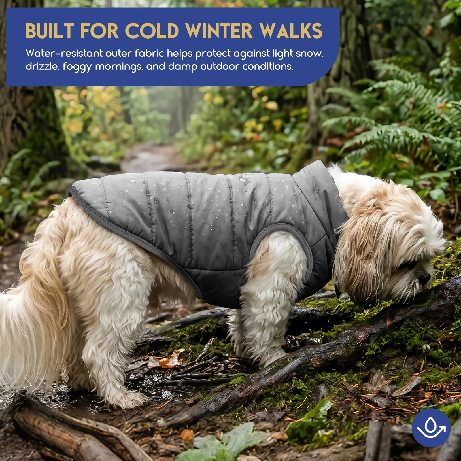 ASENKU Cappotto Inverno per Cane Taglia Piccola S, Impermeabile & Pile Artica, Bottoni Ventre e Apertura Guinzaglio, Giacca Cane Invernale per Yorkshire Bichon, Uscite Ricreative Invernali Fuori Casa - immagine 3