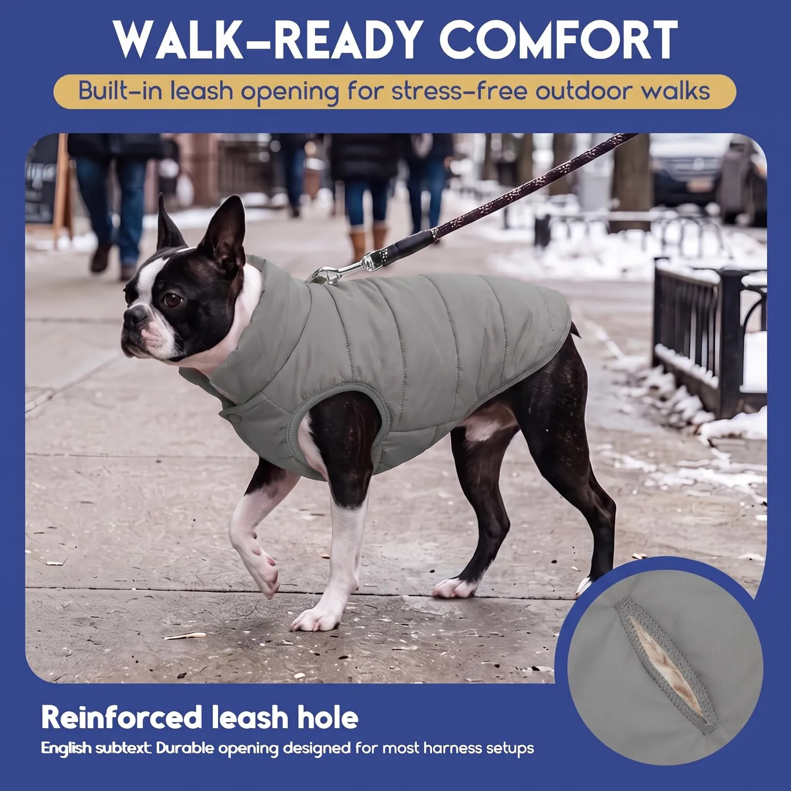ASENKU Cappotto Inverno per Cane Taglia Piccola S, Impermeabile & Pile Artica, Bottoni Ventre e Apertura Guinzaglio, Giacca Cane Invernale per Yorkshire Bichon, Uscite Ricreative Invernali Fuori Casa - immagine 6