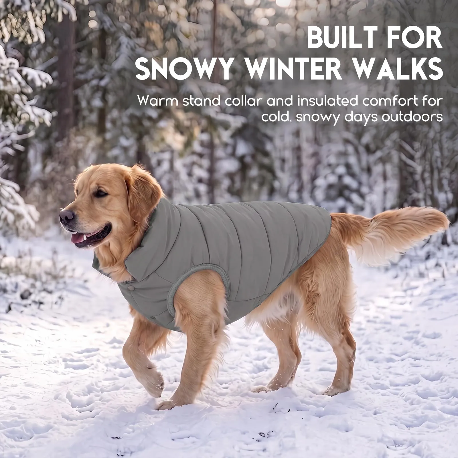 ASENKU Cappotto impermeabile Cane Inverno L, Fodera Polare Spessa, Bottoni Ventrali, Apertura Guinzaglio, Cappottino Cane Taglia Media per Bassotto Corgi, Passeggiate Quotidiane e Giochi Sulla Neve - immagine 8