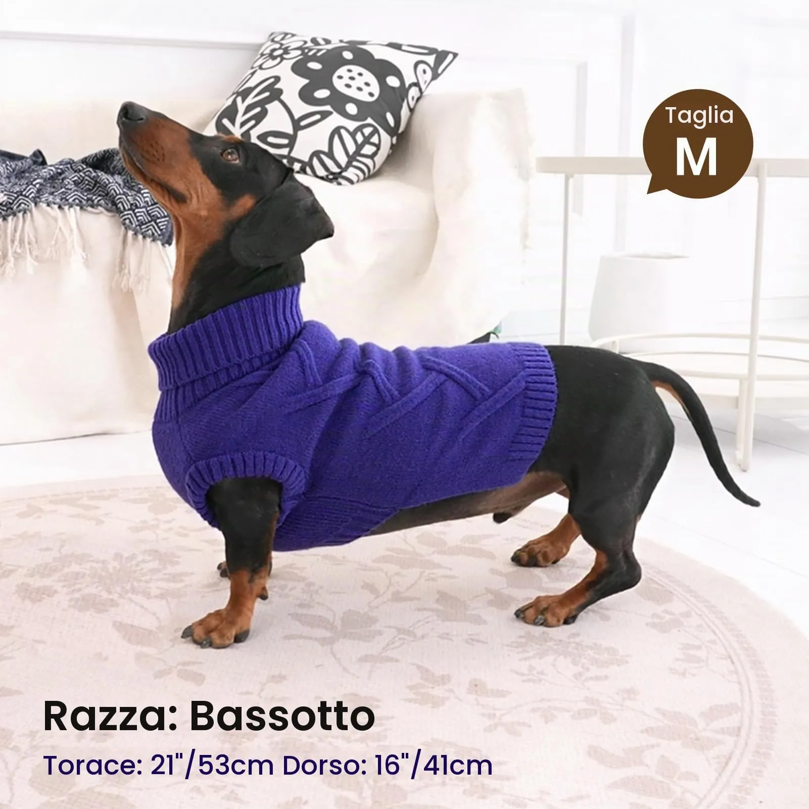 Queenmore Maglione Cane Medio Elasticizzato e Caldo - Maglioncino per Cani - immagine 5