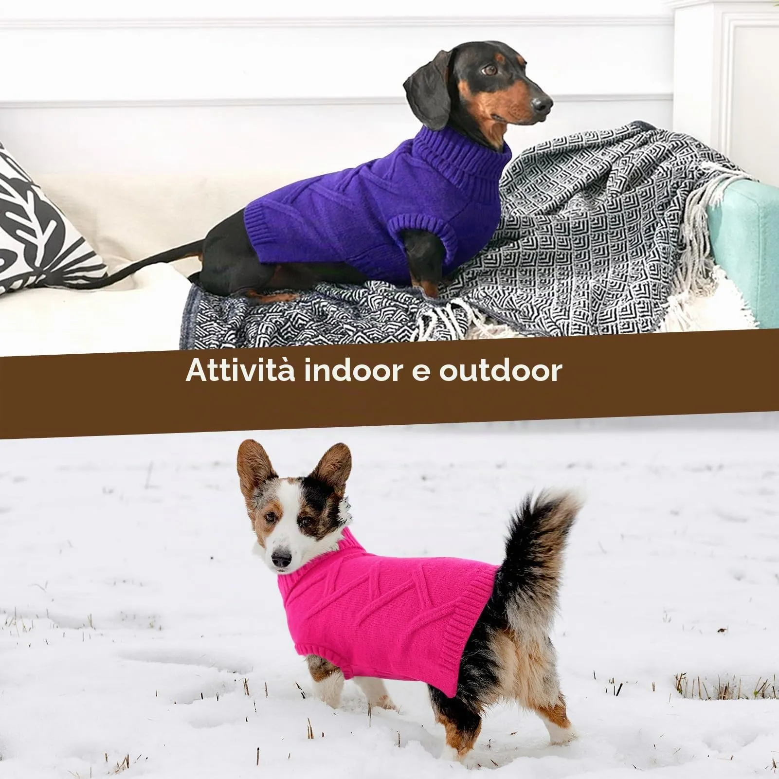Queenmore Maglione Cane Medio Elasticizzato e Caldo - Maglioncino per Cani - immagine 6
