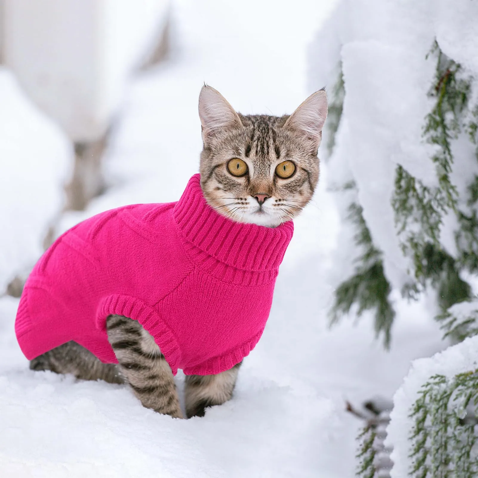 Queenmore Maglione Cane Medio Elasticizzato e Caldo - Maglioncino per Cani - immagine 7