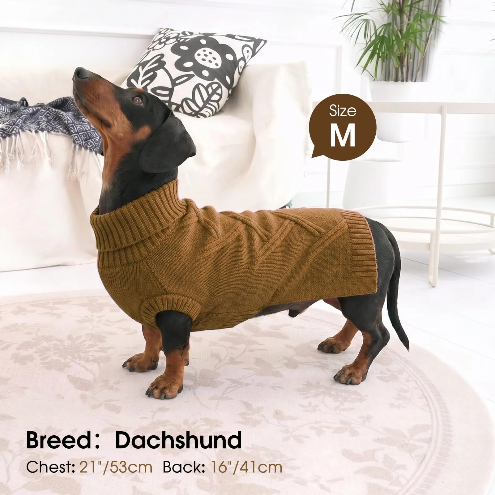 Queenmore Maglione Cane Medio Elasticizzato e Caldo - Maglioncino per Cani - immagine 5
