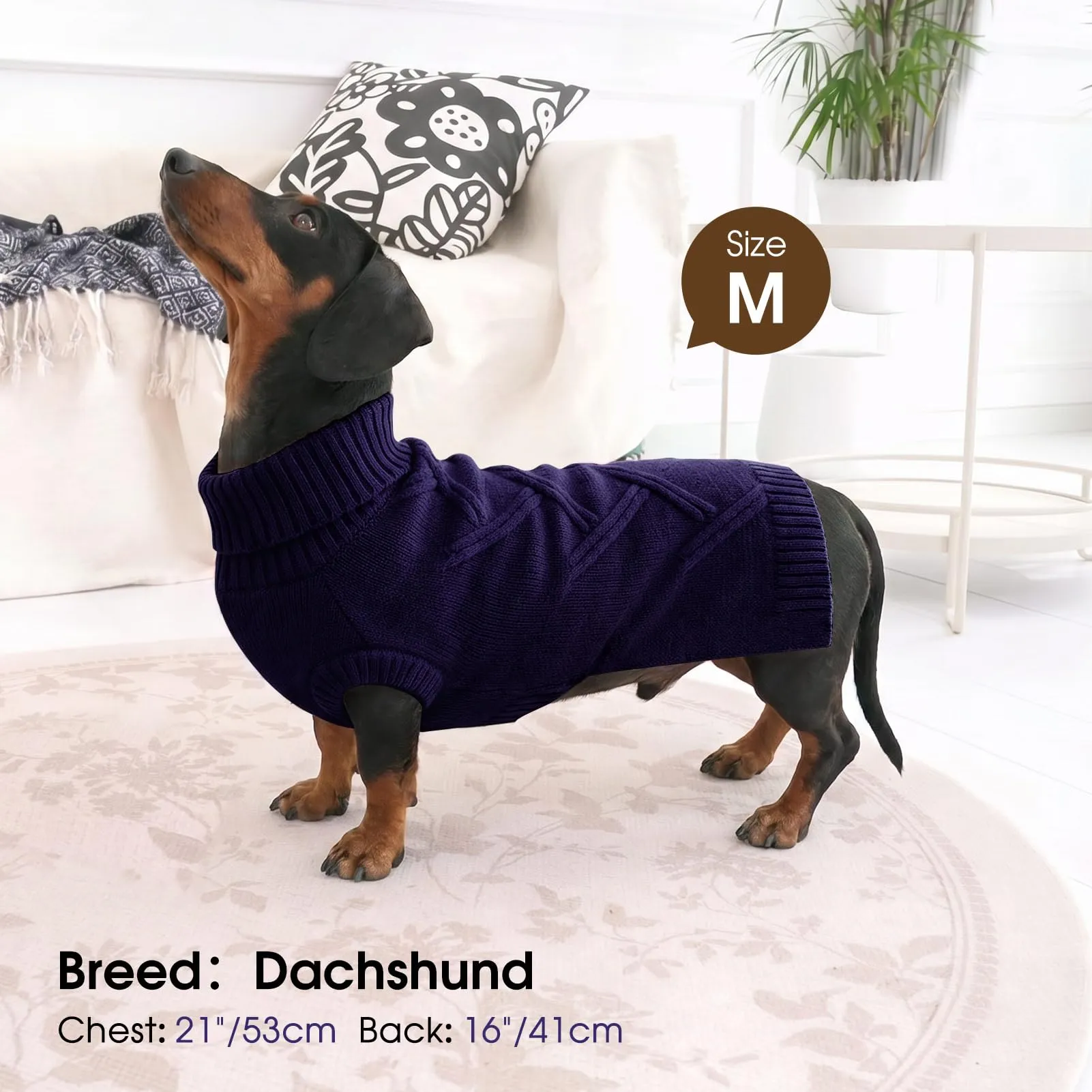Queenmore Maglione Cane Medio Morbido e Caldo - Cappotto per Cani Medi - immagine 5