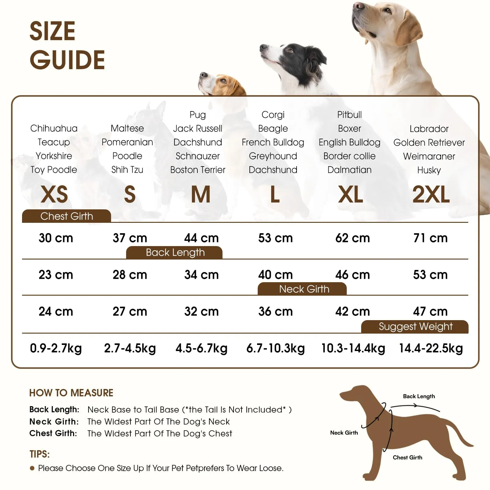 Queenmore Maglione Cane Medio Elasticizzato e Caldo - Maglioncino per Cani - immagine 2