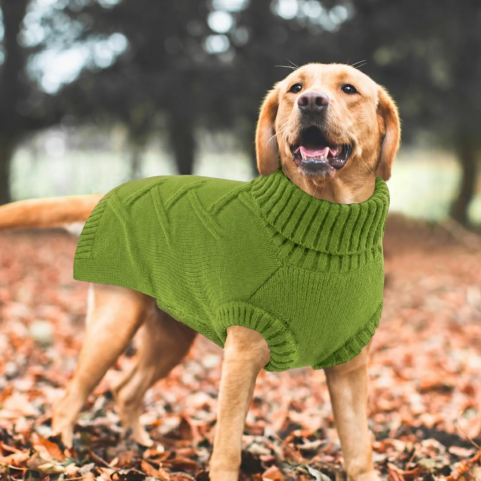 Queenmore Maglione Cane Medio Elasticizzato e Caldo - Maglioncino per Cani - immagine 7