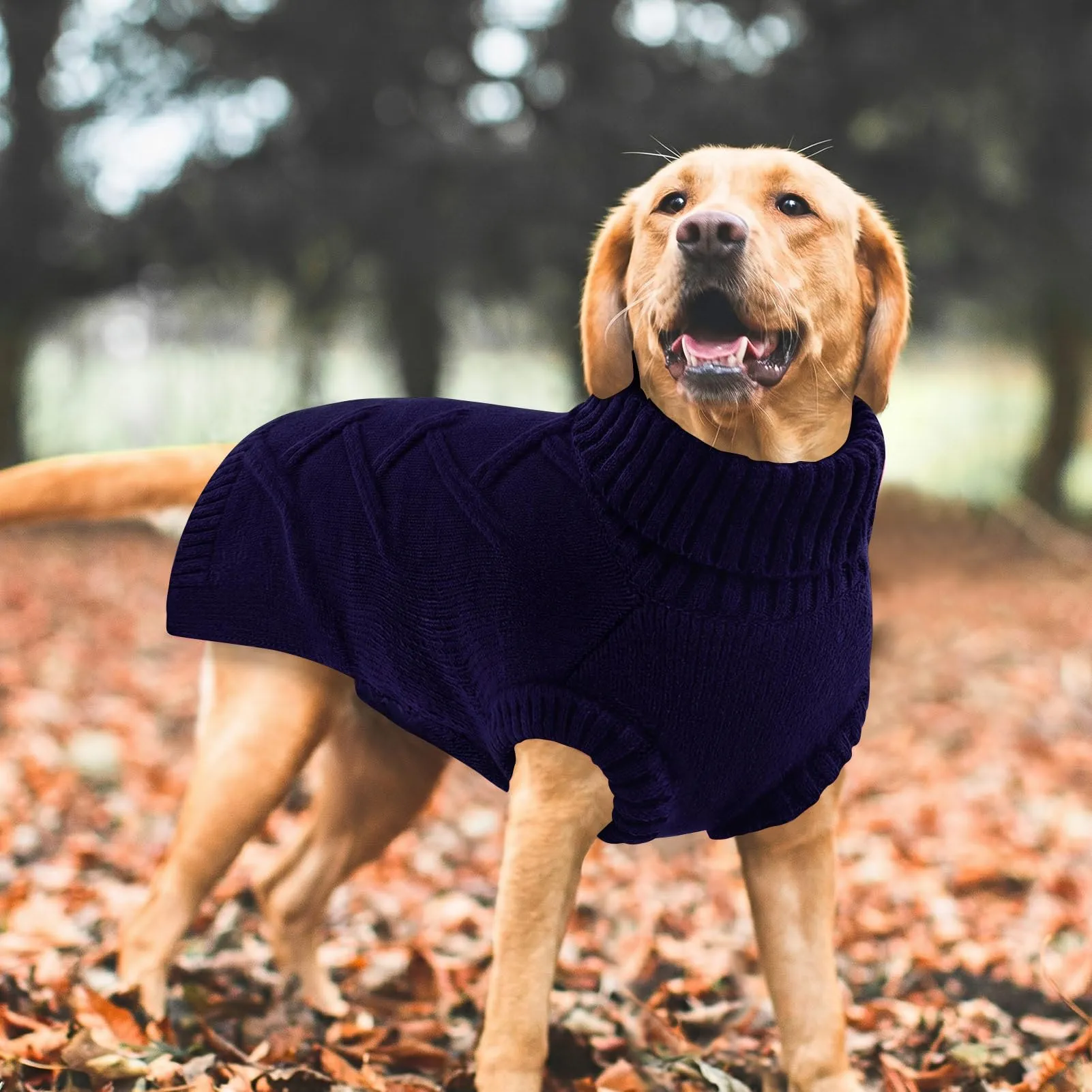 Queenmore Maglione Cane Grande Elasticizzato e Caldo - Vestito per Cani - immagine 8