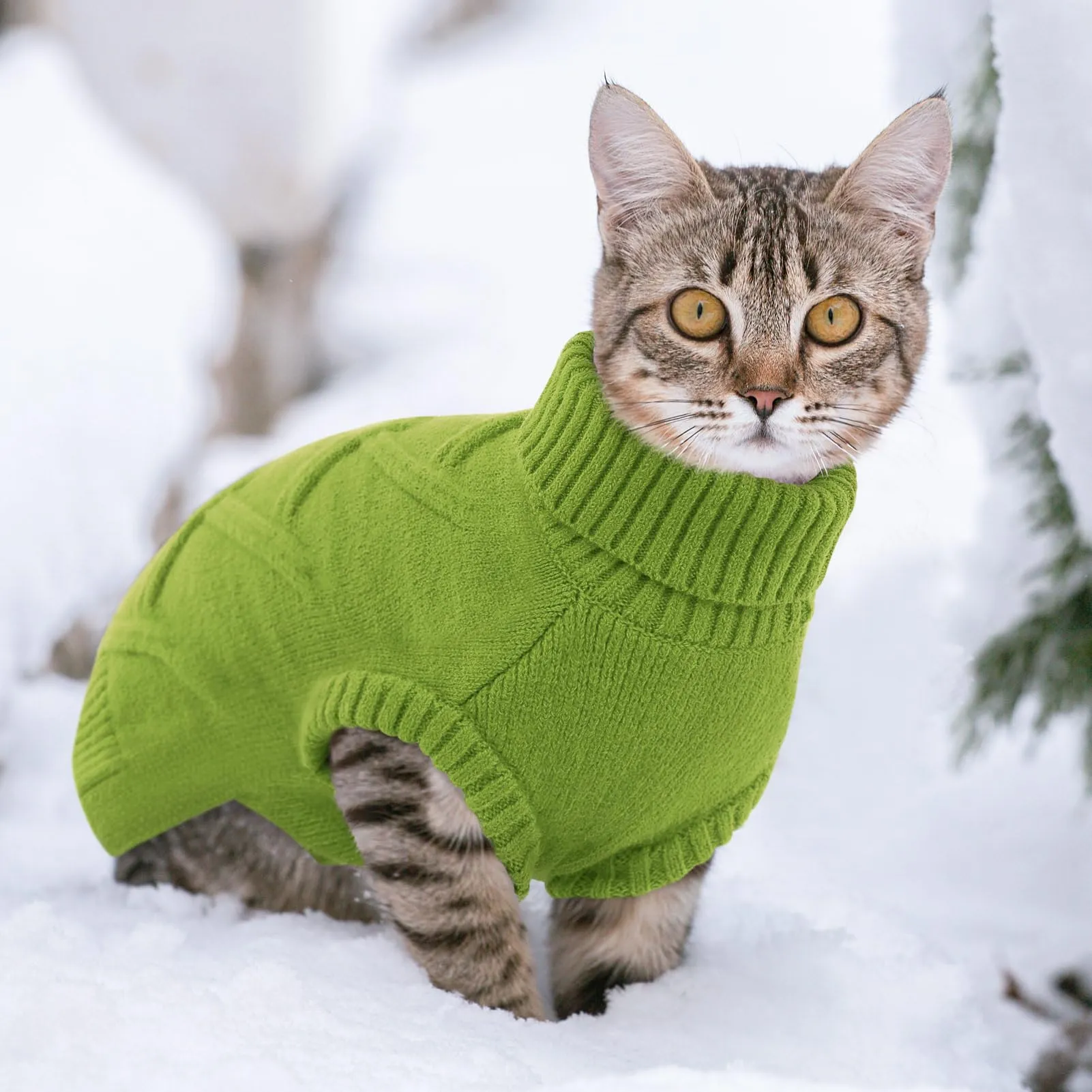 Queenmore Maglione Cane XXL Morbido e Caldo - Cappotto per Cani Grandi - immagine 8