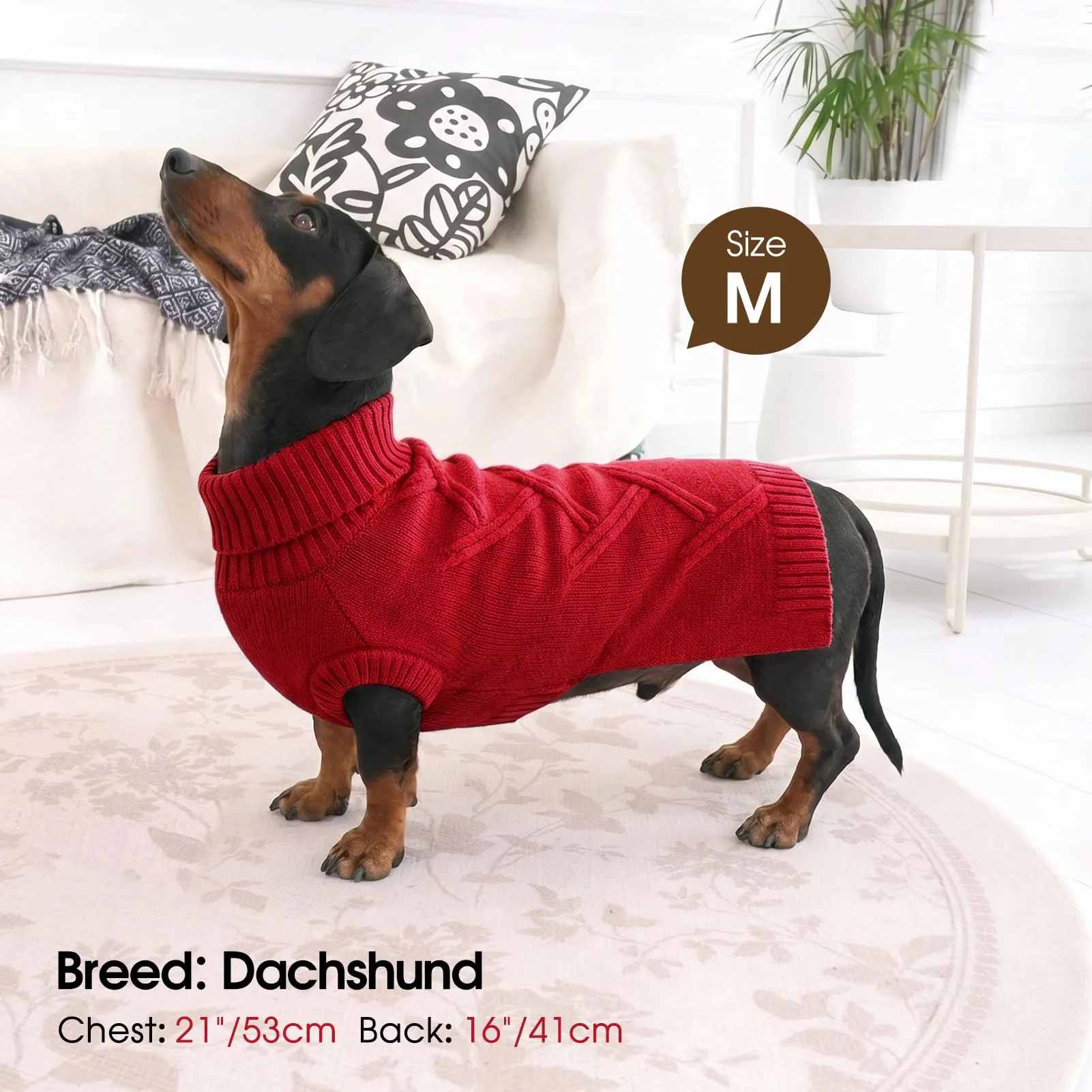 Queenmore Maglione Cane Medio Morbido e Caldo - Cappotto per Cani Medi - immagine 5