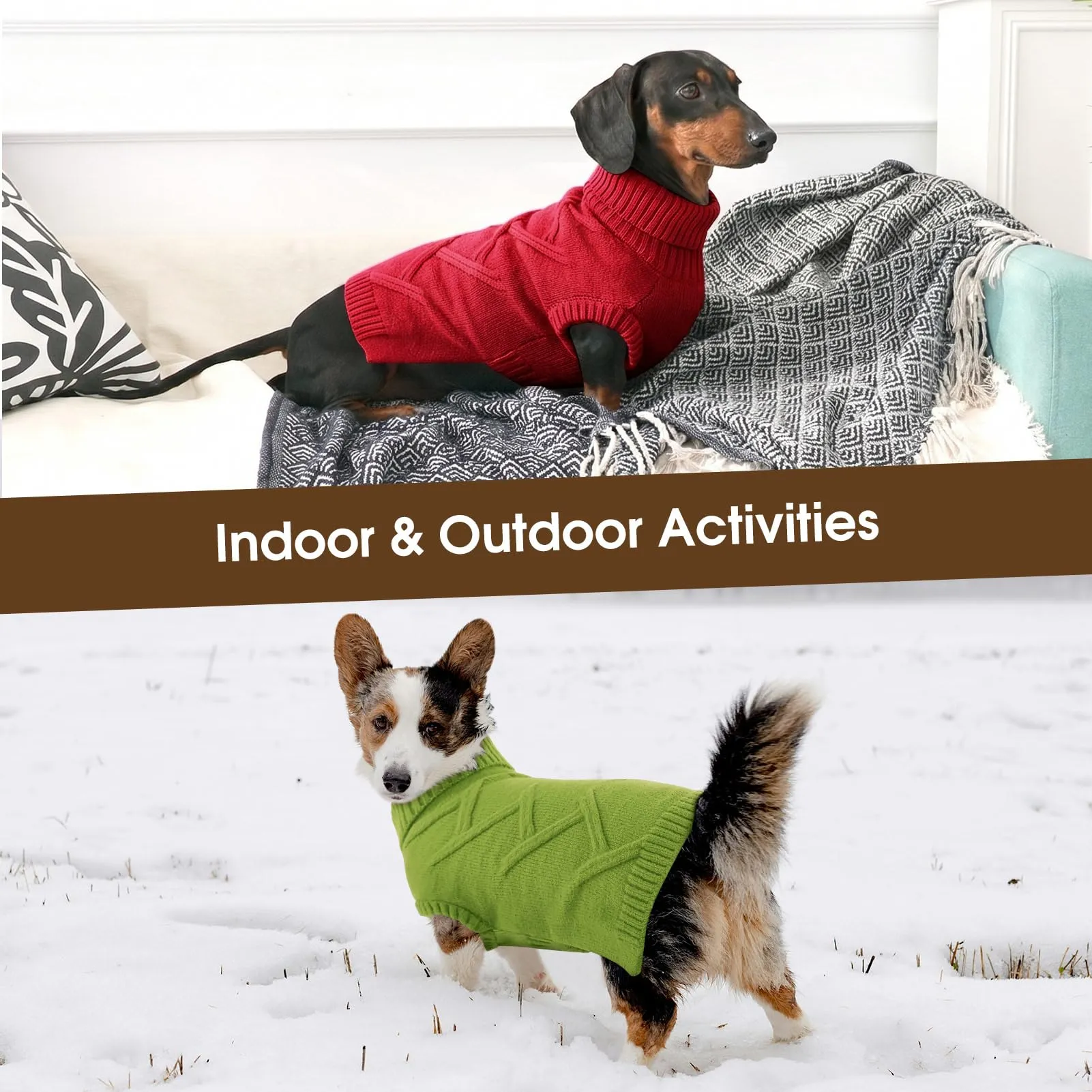 Queenmore Maglione Cane Medio Morbido e Caldo - Cappotto per Cani Medi - immagine 6