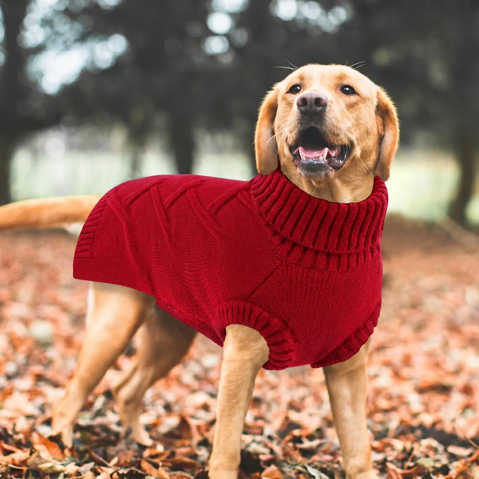 Queenmore Maglione Cane Medio Morbido e Caldo - Cappotto per Cani Medi - immagine 7