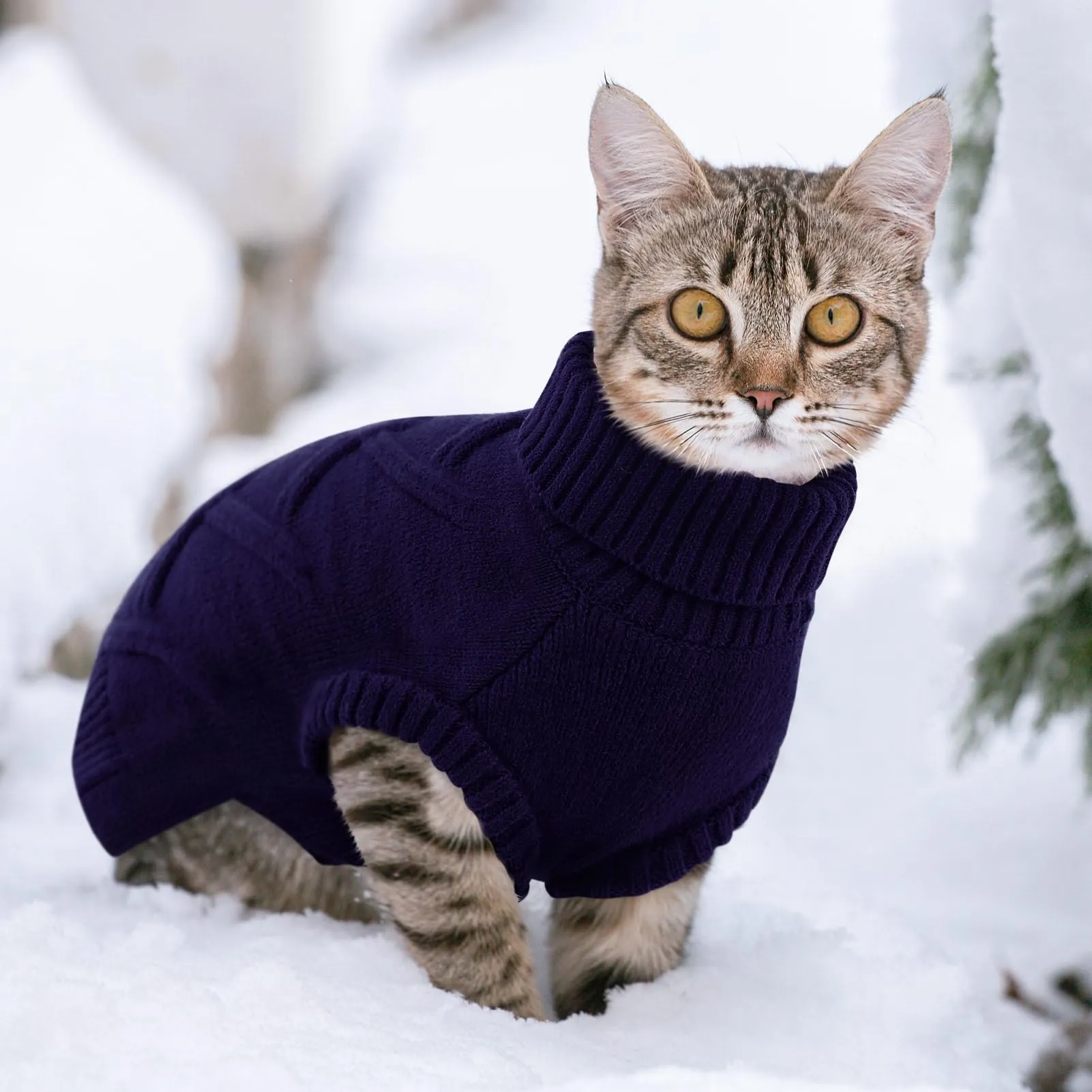 Queenmore Maglione Cane Piccolo Invernale - Felpa per Cani XS, Chihuahua, - immagine 7