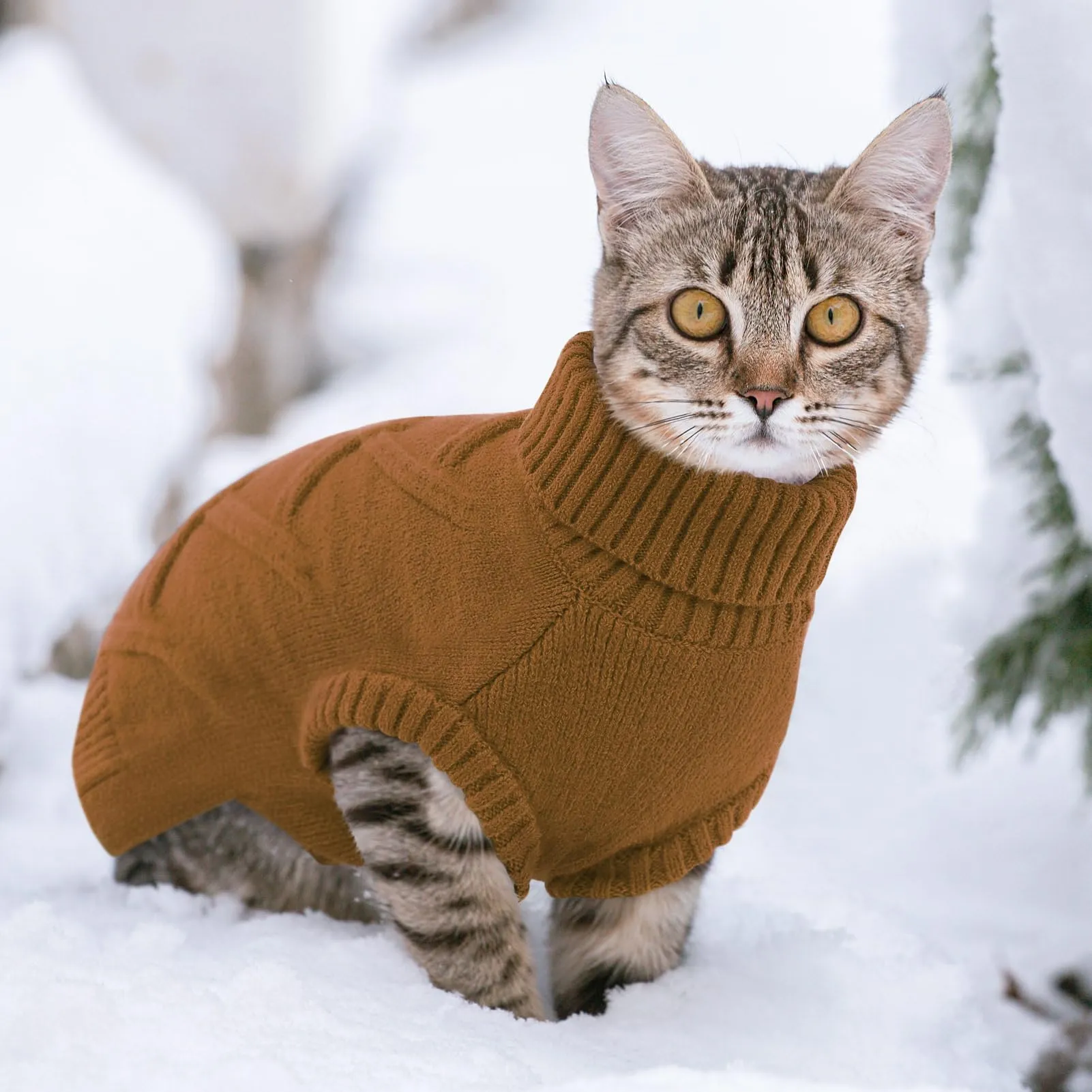 Queenmore Maglione Cane XXL Morbido e Caldo - Cappotto per Cani Grandi - immagine 8