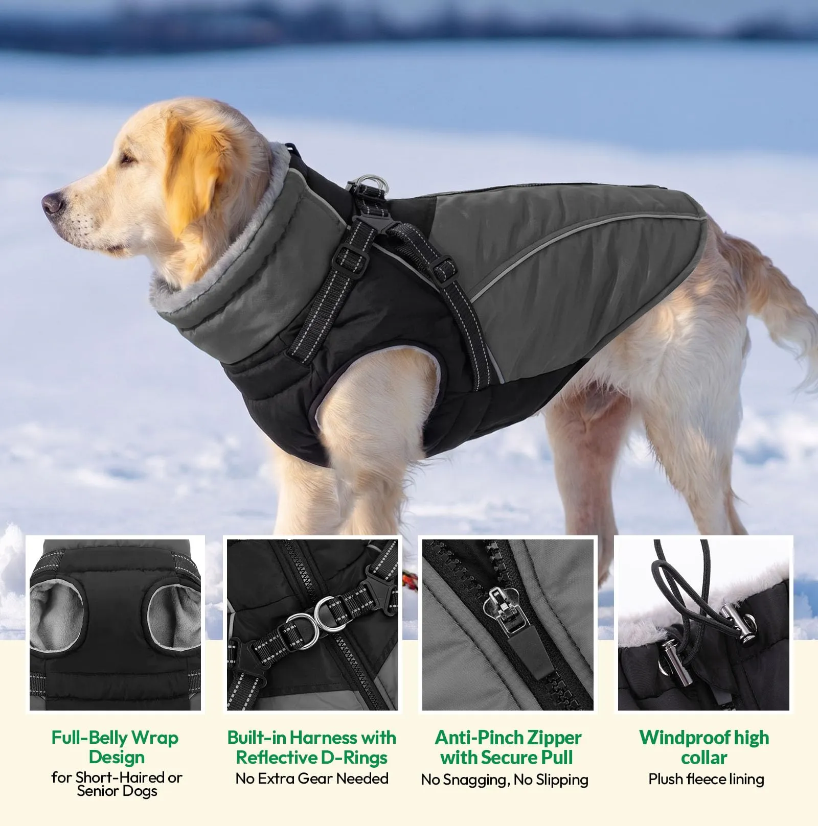 KONVINIT Cappotto per Cani Piccoli con Imbracatura - Impermeabile Inverno - immagine 4