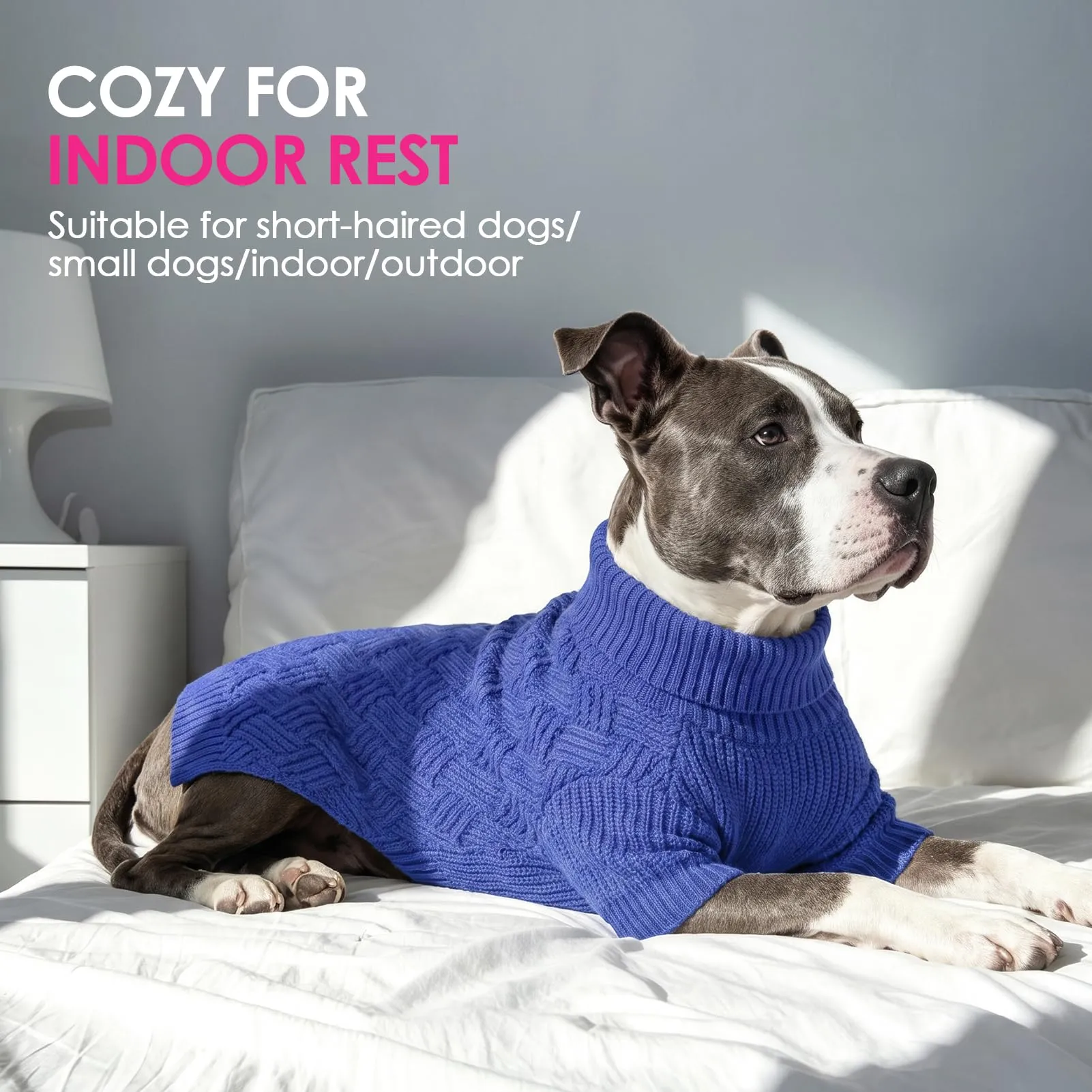 AOFITEE Maglione per cani XS, caldo maglione per gatti e cani di piccola - immagine 6