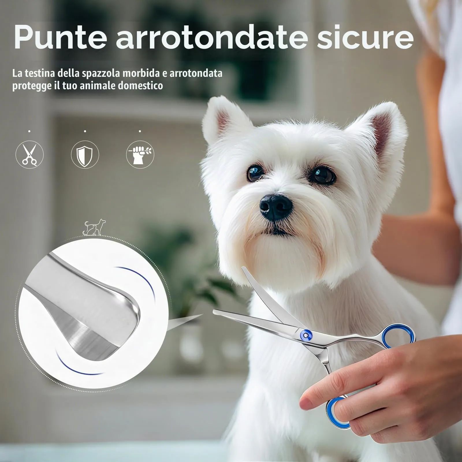 Forbici Toelettatura Cani,Punte Arrotondate Sicure,Per Faccia, Zampe,Coda - immagine 2