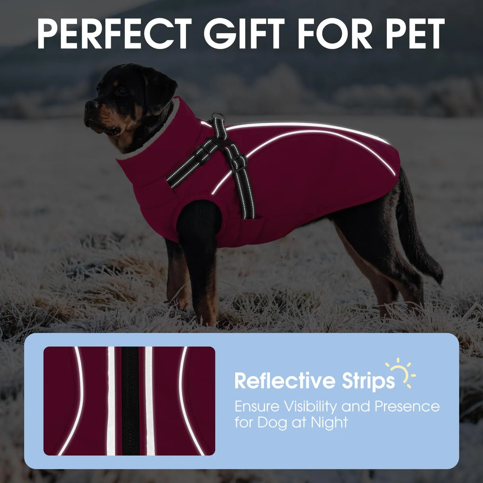 CITÉTOILE Cappotto Invernale per Cani Impermeabile Giacca Calda Rosa XL - immagine 3