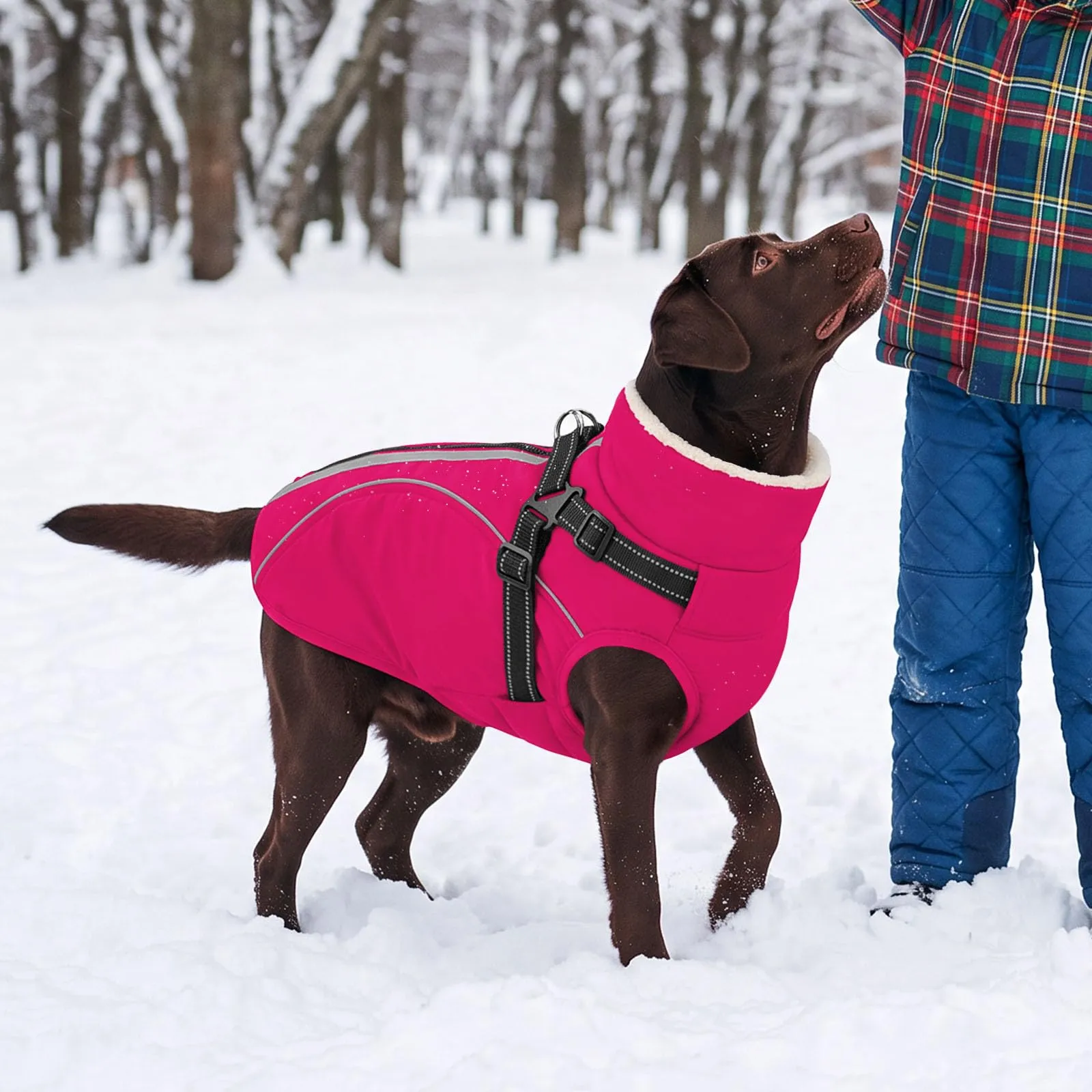 CITÉTOILE Cappotto Invernale per Cani Impermeabile Giacca Calda Rosa M - immagine 6