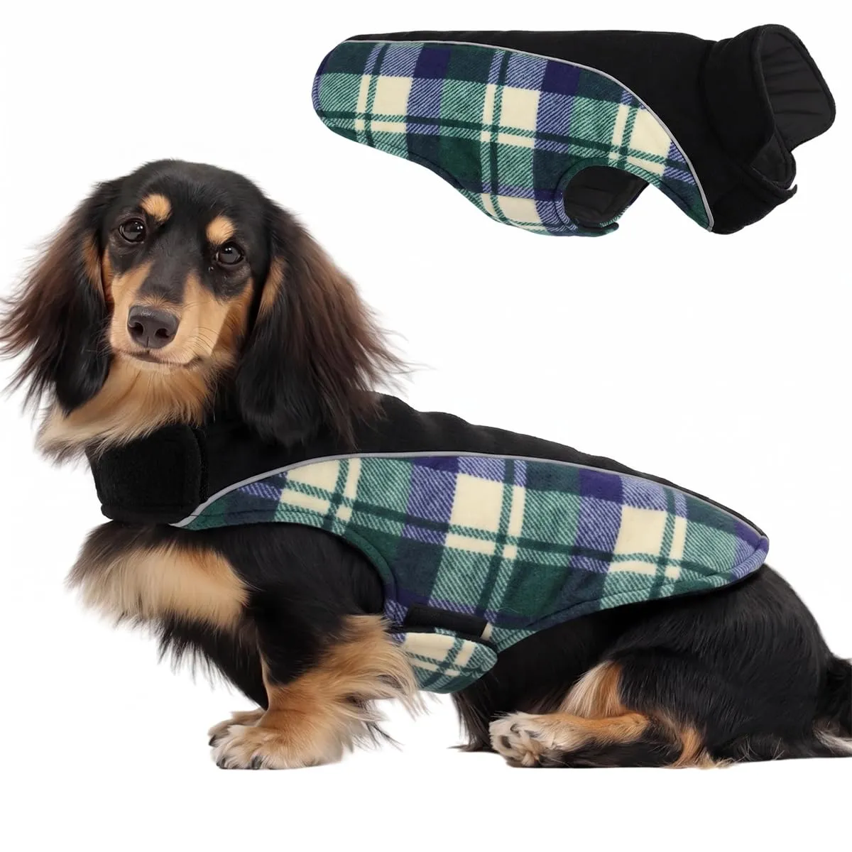 CITÉTOILE Cappotto Invernale per Cani, Giacca Calda e Antivento verde M - immagine 1