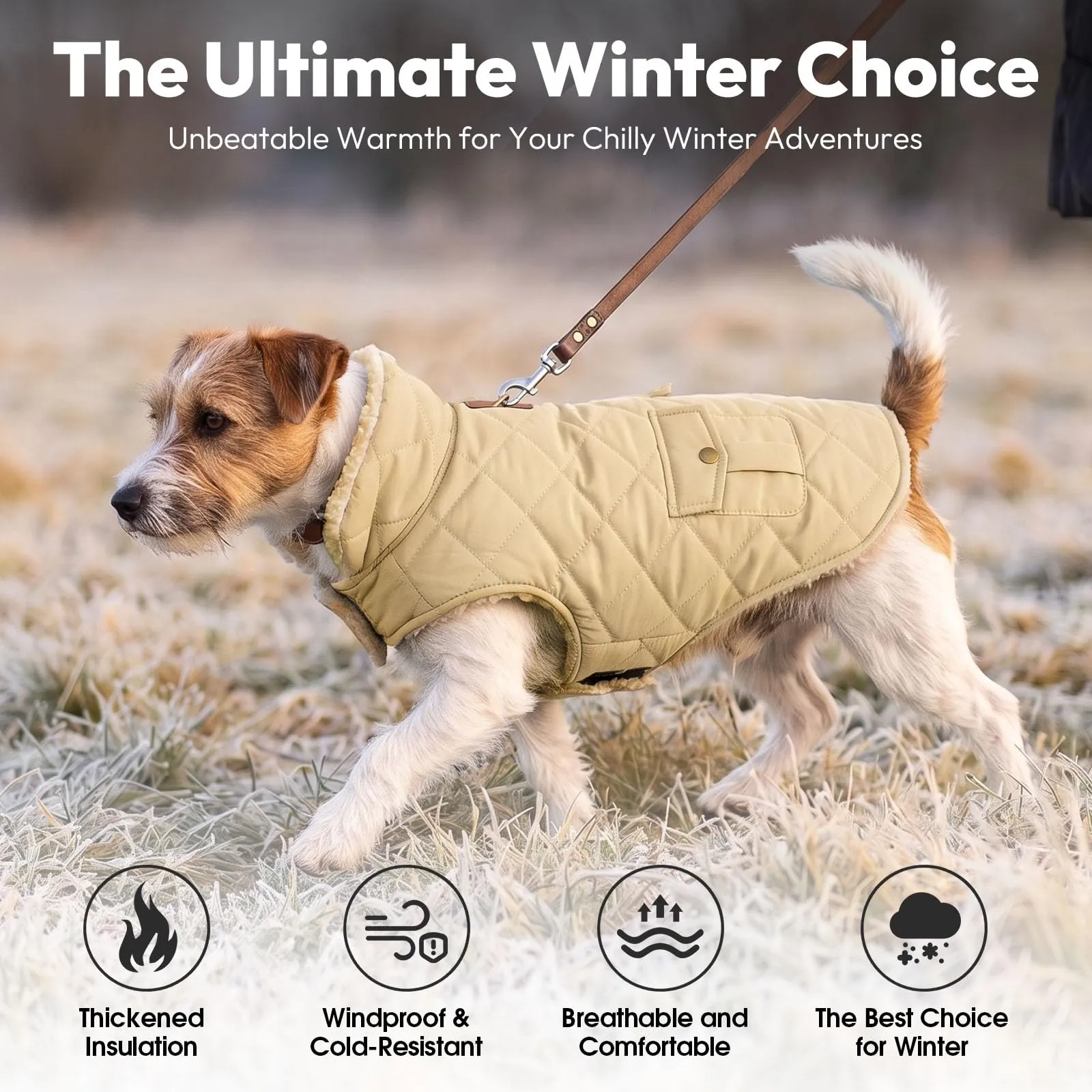 CITÉTOILE Gilet Termico Invernale per Cani in Lana Spessa Beige L - immagine 5