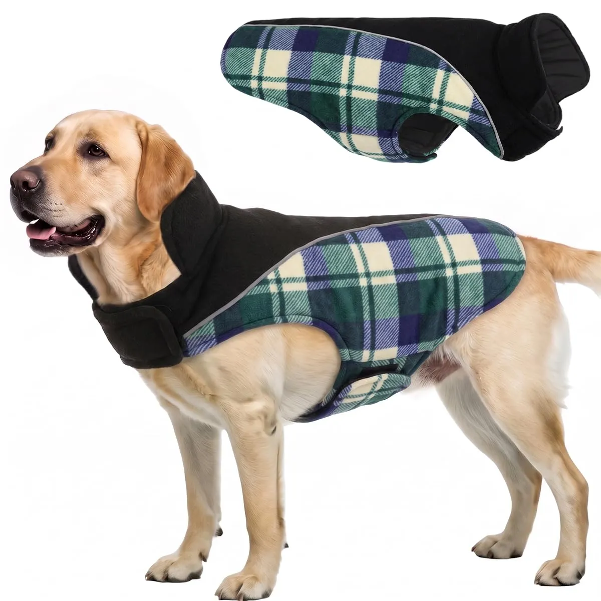 CITÉTOILE Cappotto Invernale per Cani, Giacca Calda e Antivento verde XXL - immagine 1