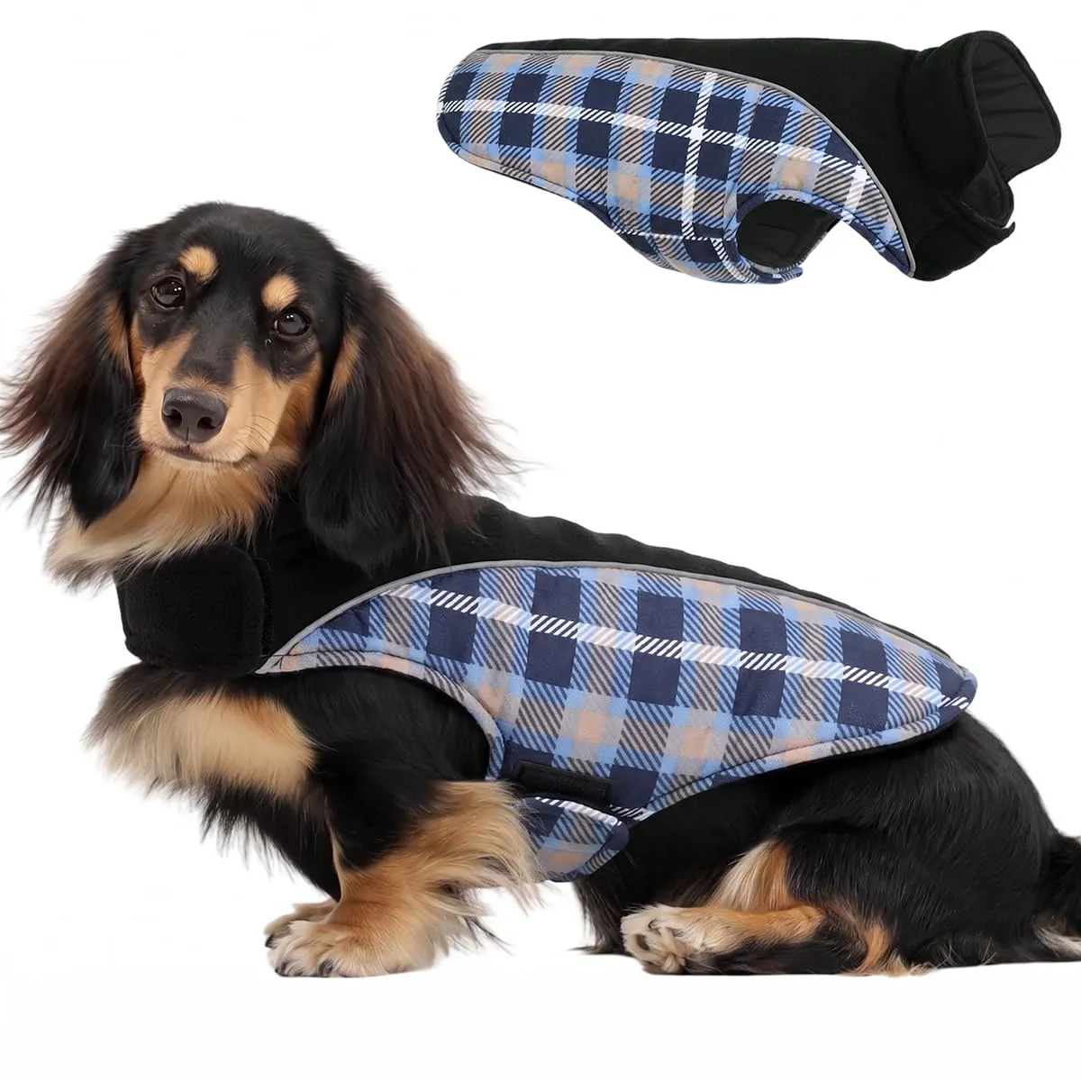 CITÉTOILE Cappotto Invernale per Cani, Giacca Calda e Antivento blu M - immagine 1