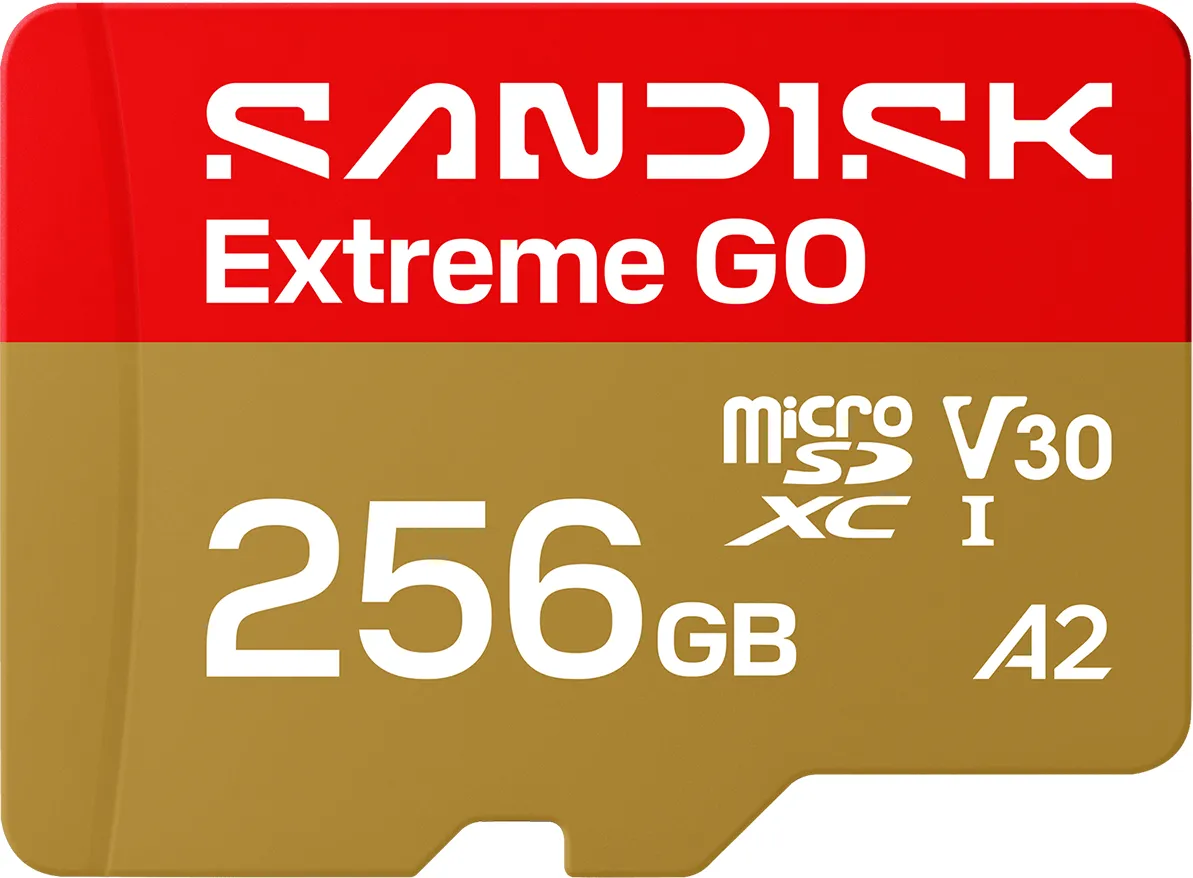 Scheda di memoria microSDXC SanDisk Extreme GO Android A2, 256Gb, Classe 10 / UHS-1 U1 SDSQXGN-256G-GN6MN - immagine 1