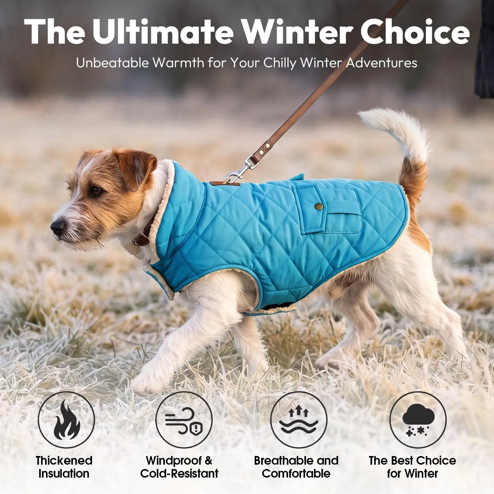 CITÉTOILE Gilet Termico Invernale per Cani in Lana Spessa Blu chiaro M - immagine 5