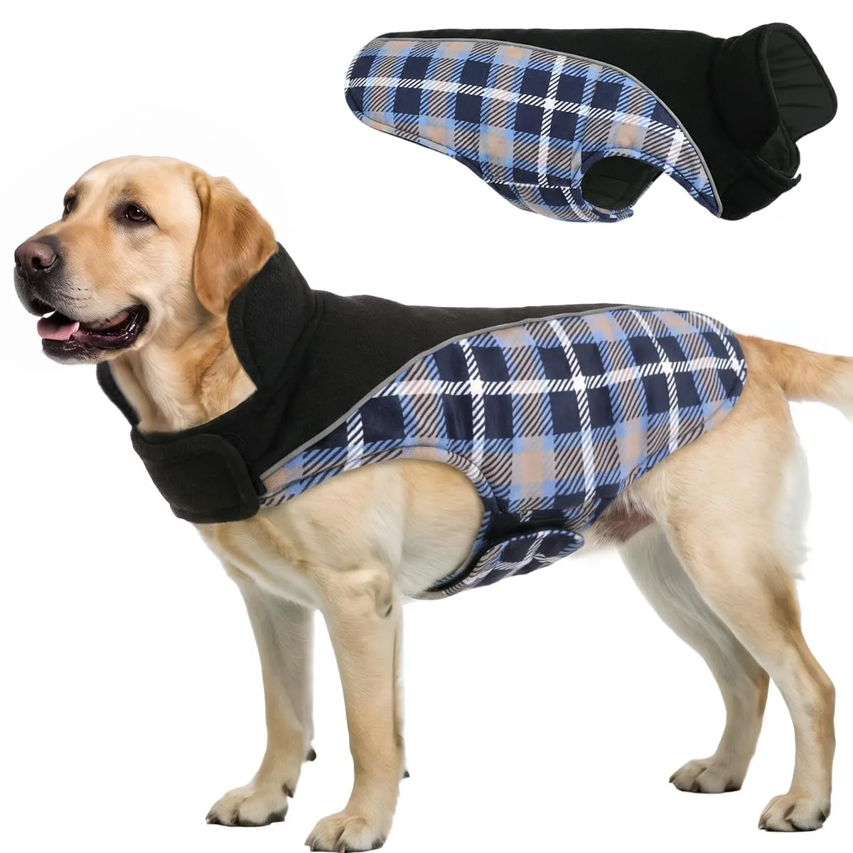 CITÉTOILE Cappotto Invernale per Cani, Giacca Calda e Antivento blu XL - immagine 1