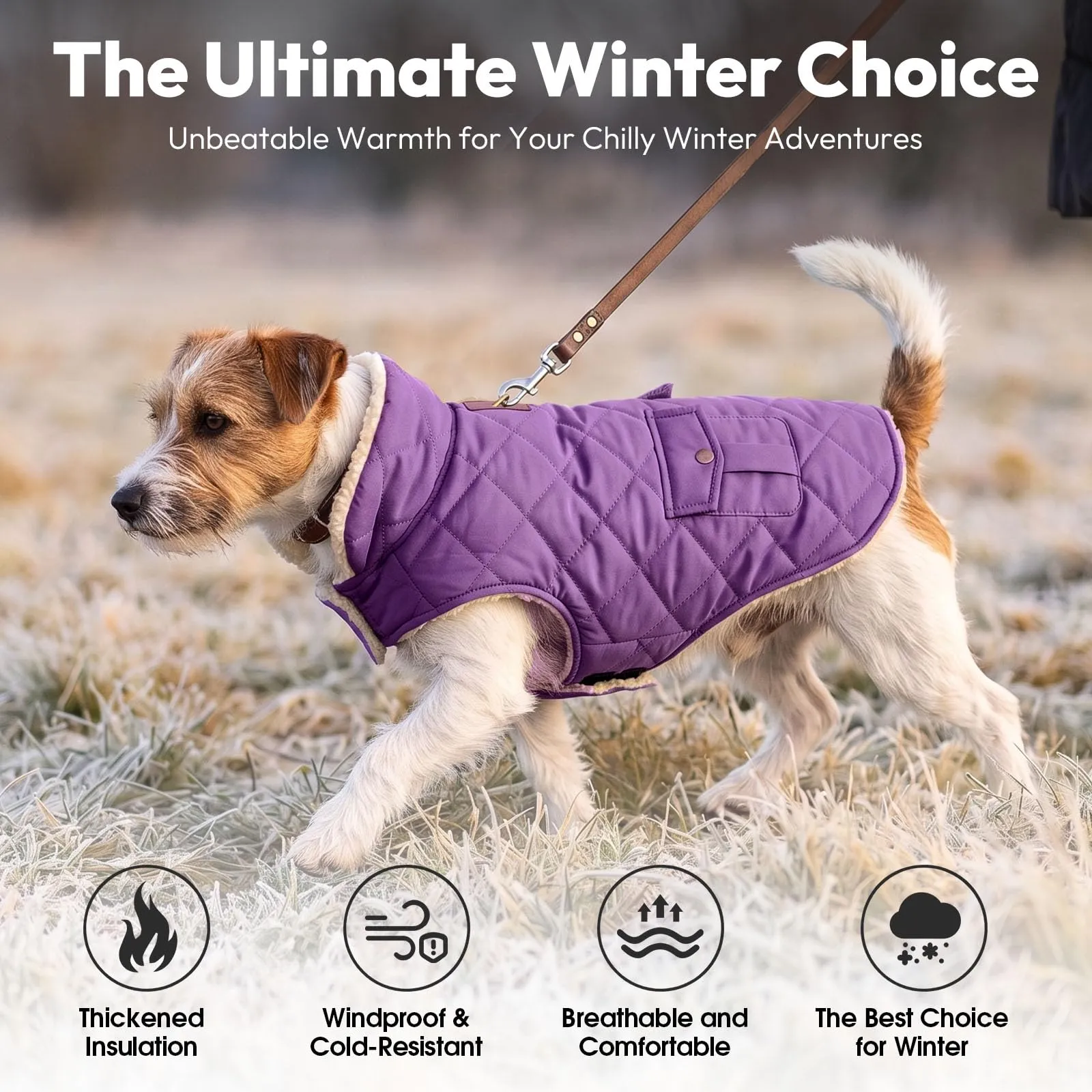 CITÉTOILE Gilet Termico Invernale per Cani in Lana Spessa Violetta scura M - immagine 5