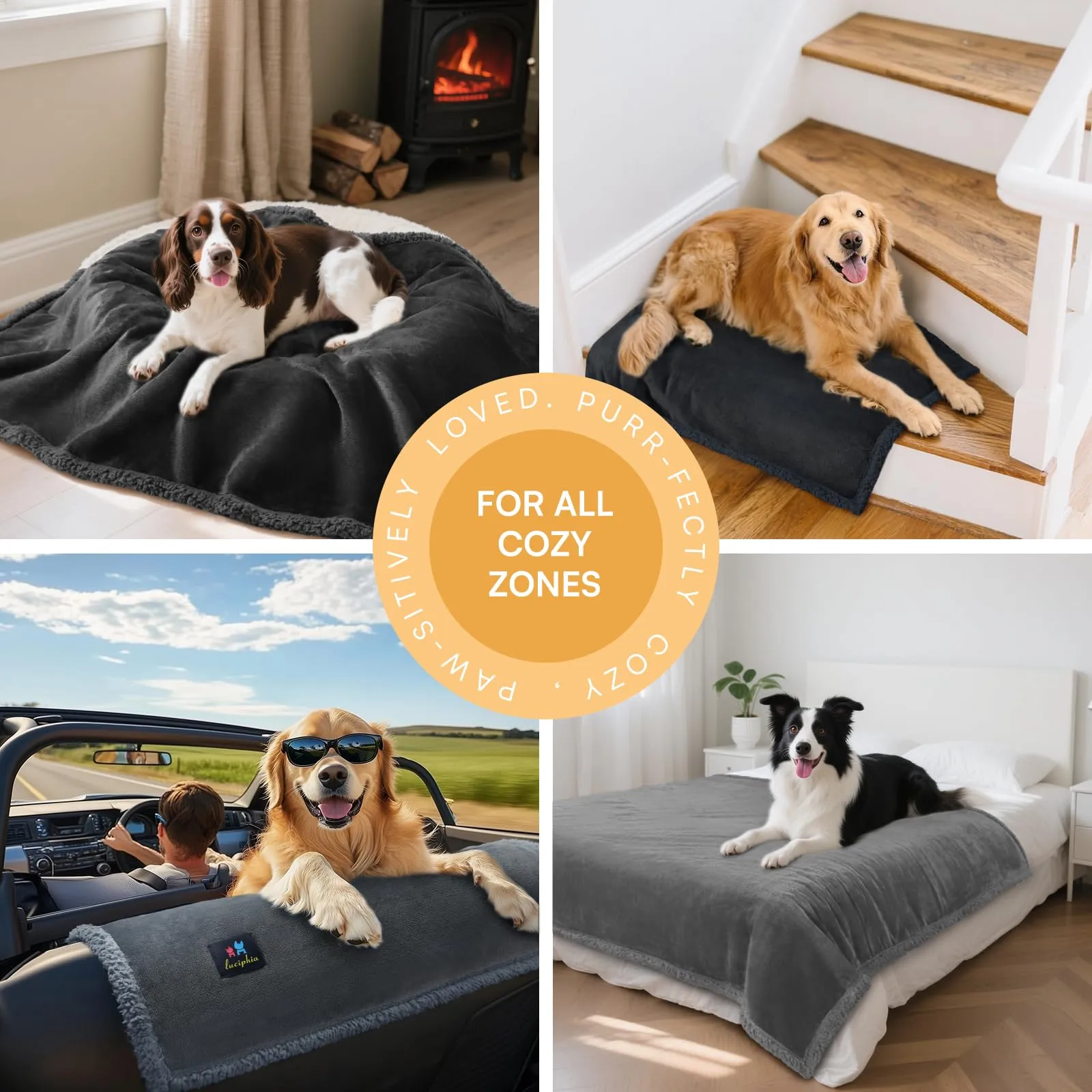 luciphia Coperta Impermeabile per Cani e Gatti, Anti-Pip, Pile e Sherpa, Nero, S (71 * 102cm) - immagine 5